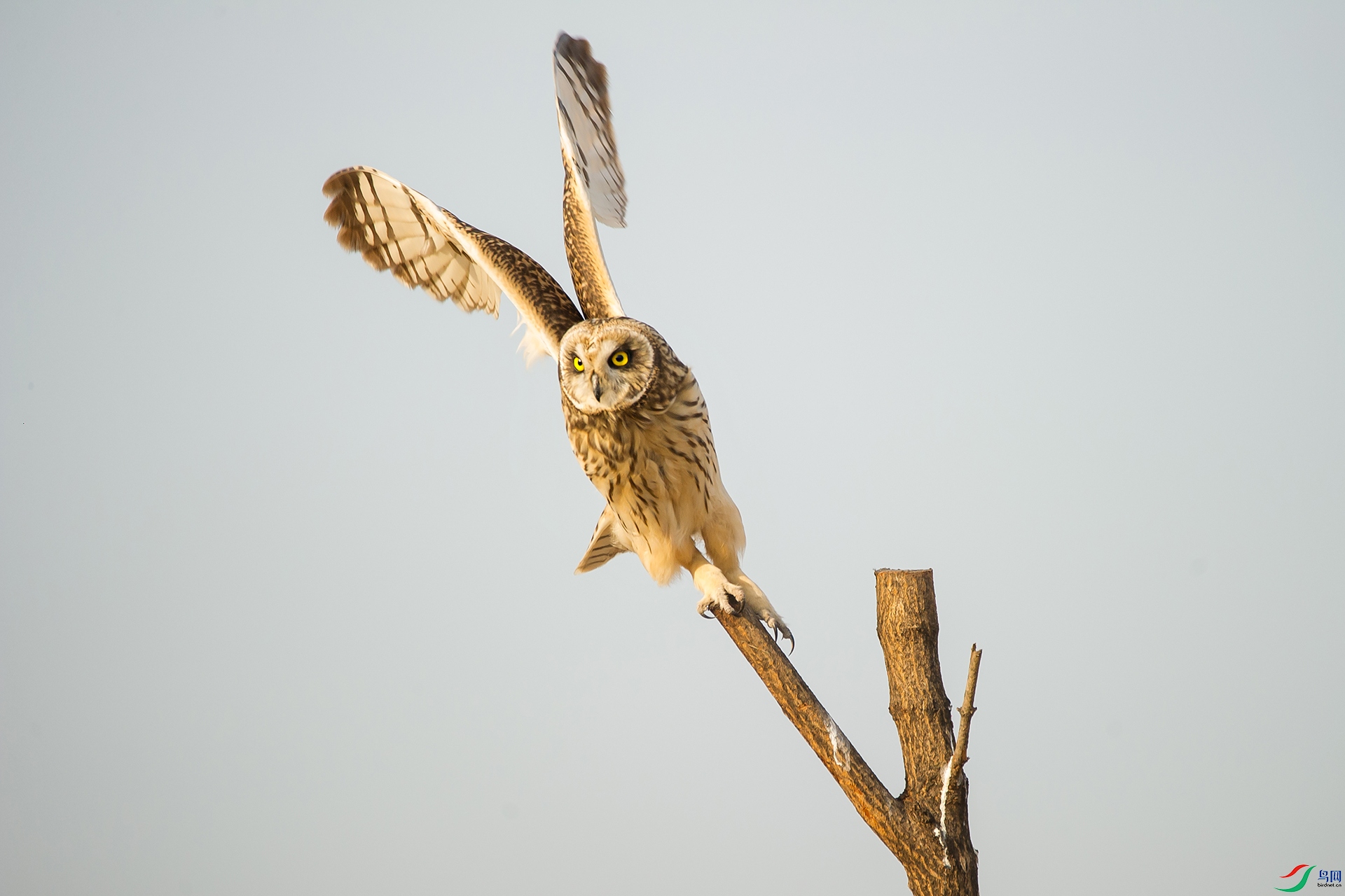 DSC_1021-20201221�ü�.jpg