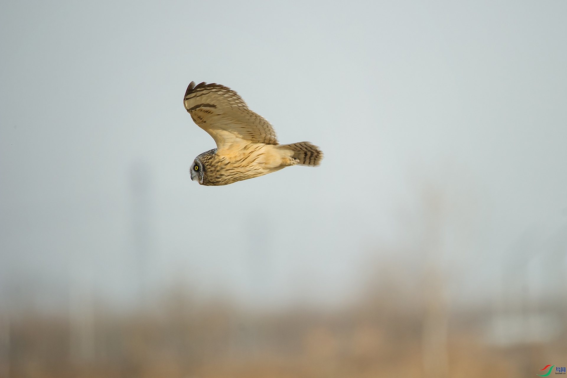DSC_1023-20201221�ü�.jpg