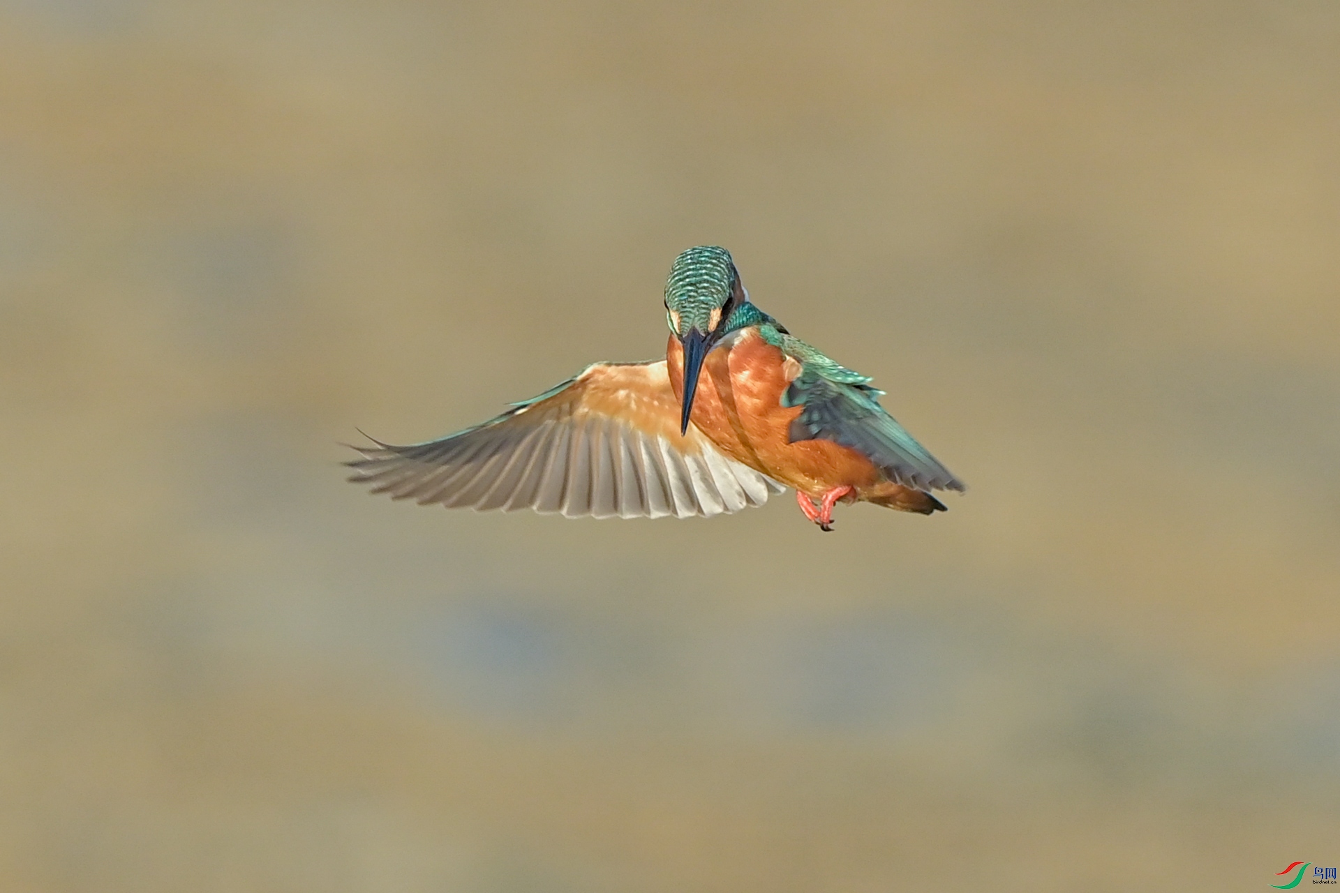 20.jpg