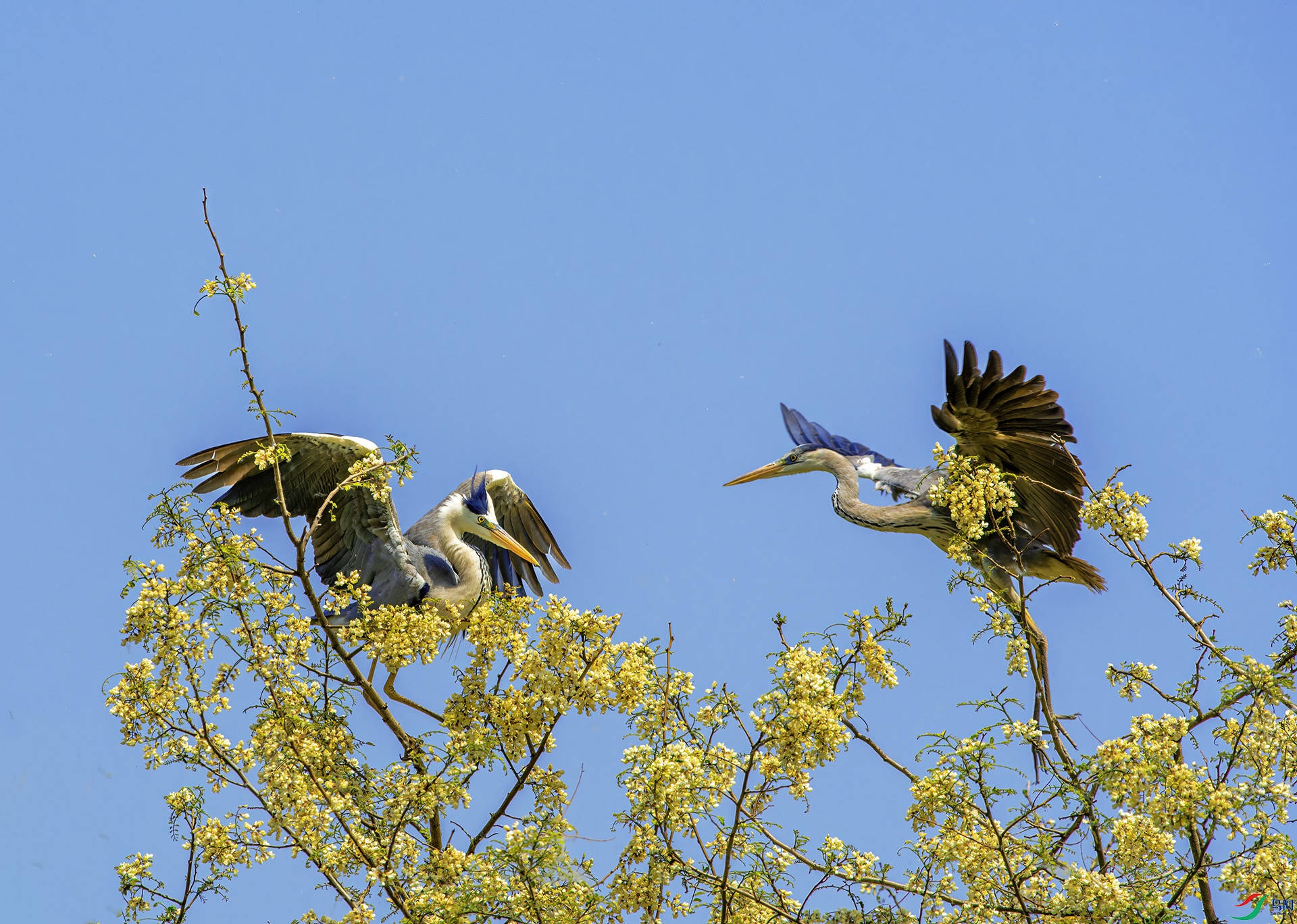 DSC_5558-1.jpg