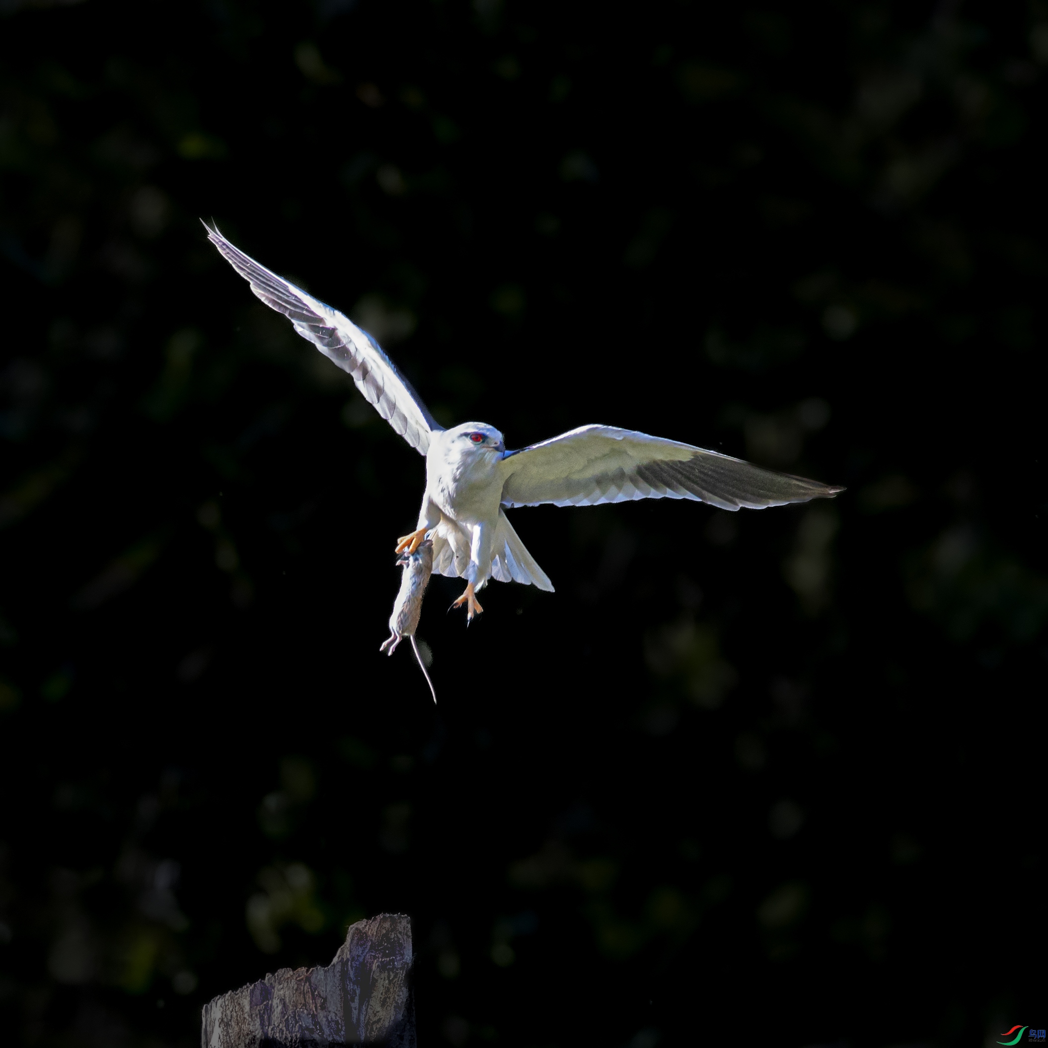 A79I7571 ����.jpg