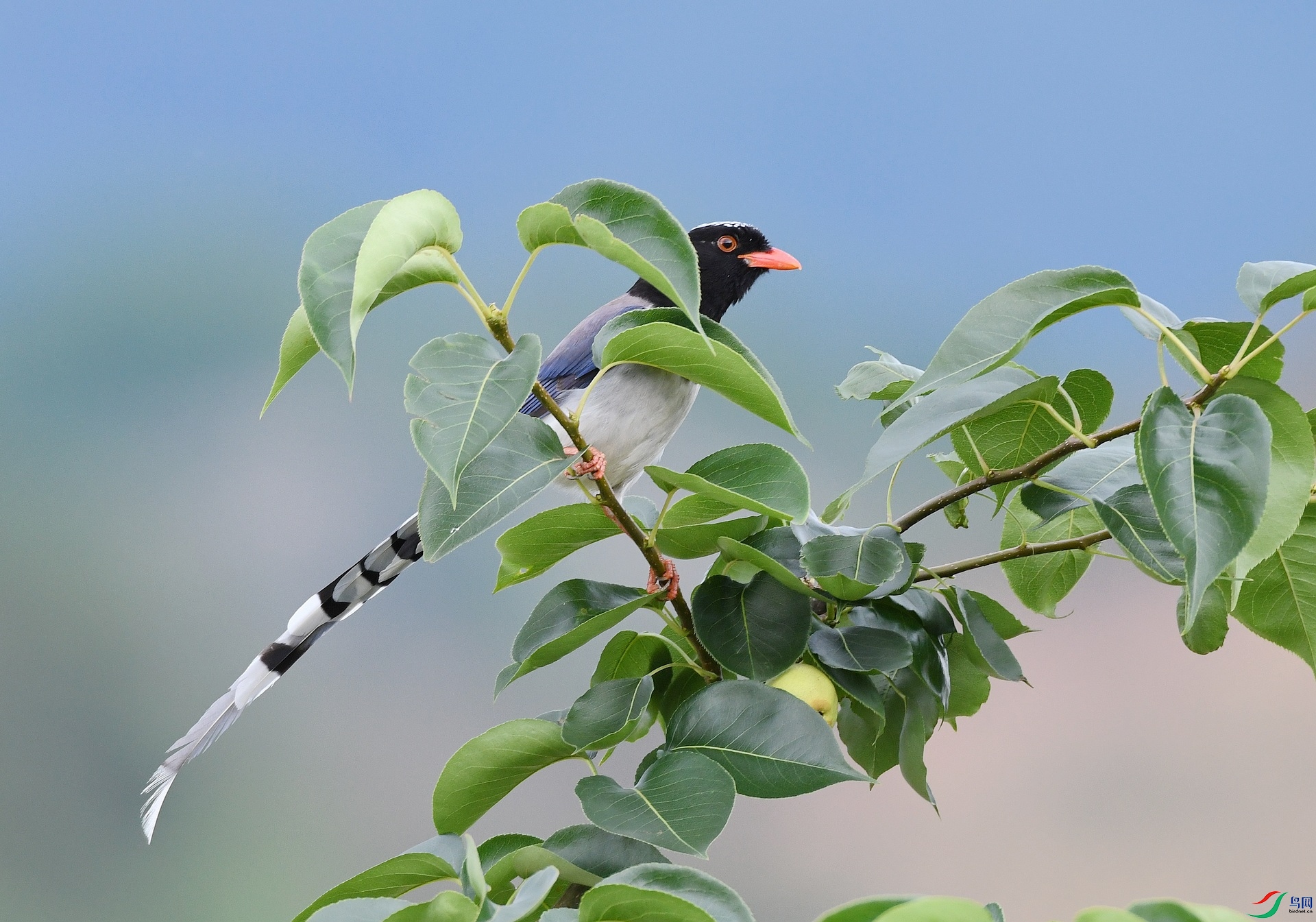 DSC_8167.jpg