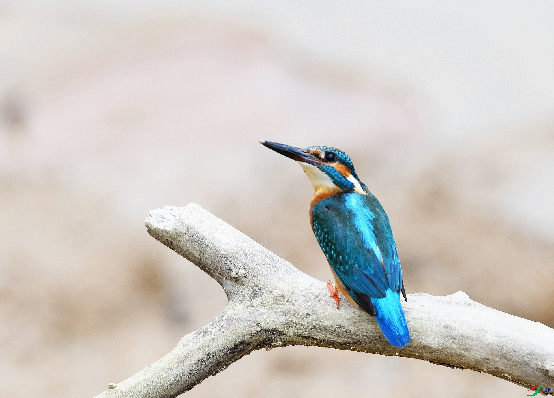 DSC_8114.jpg