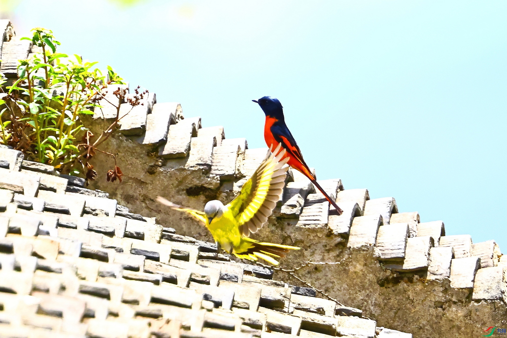 IMG_3211-1.JPG