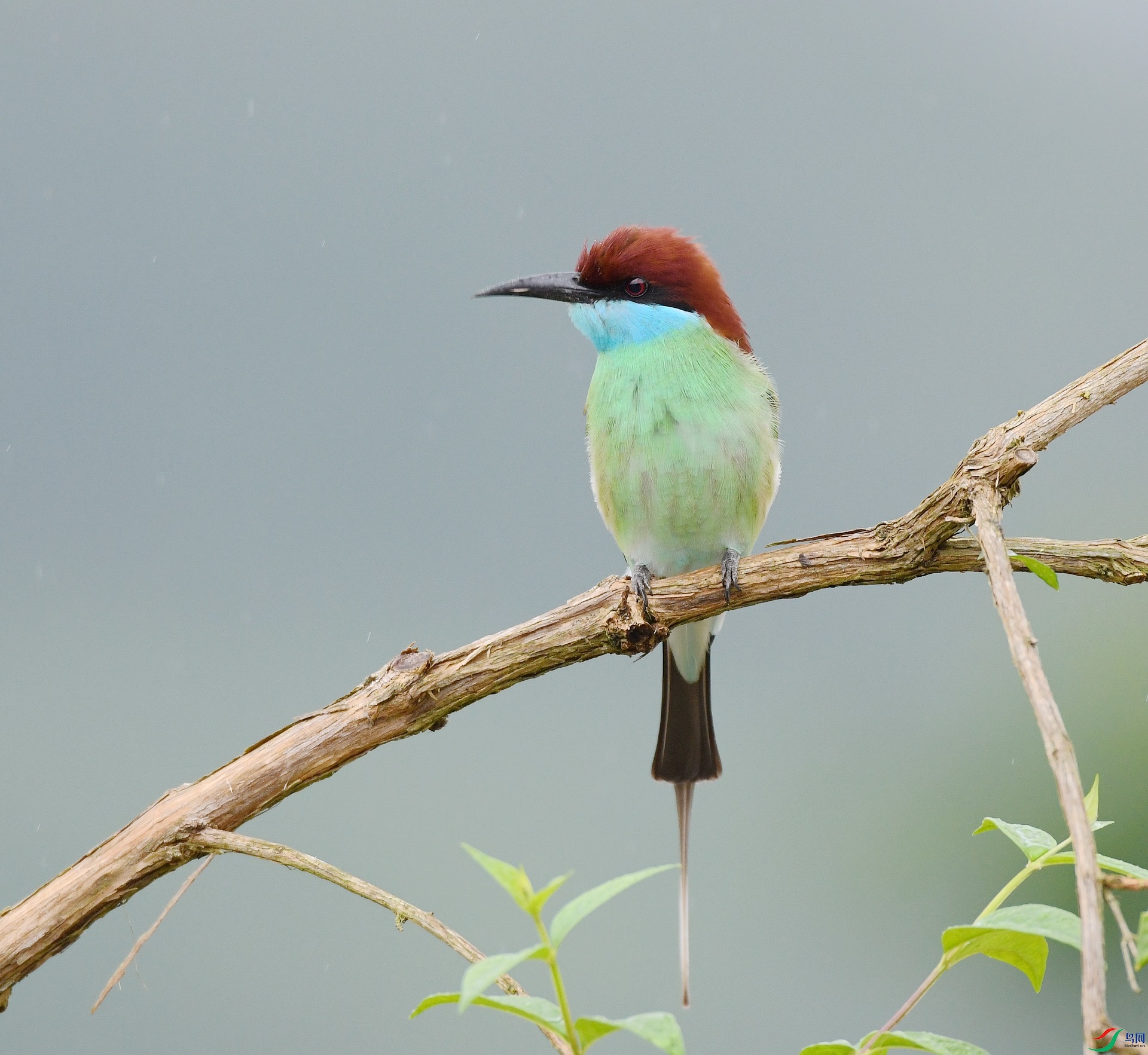 DSC_1669.jpg