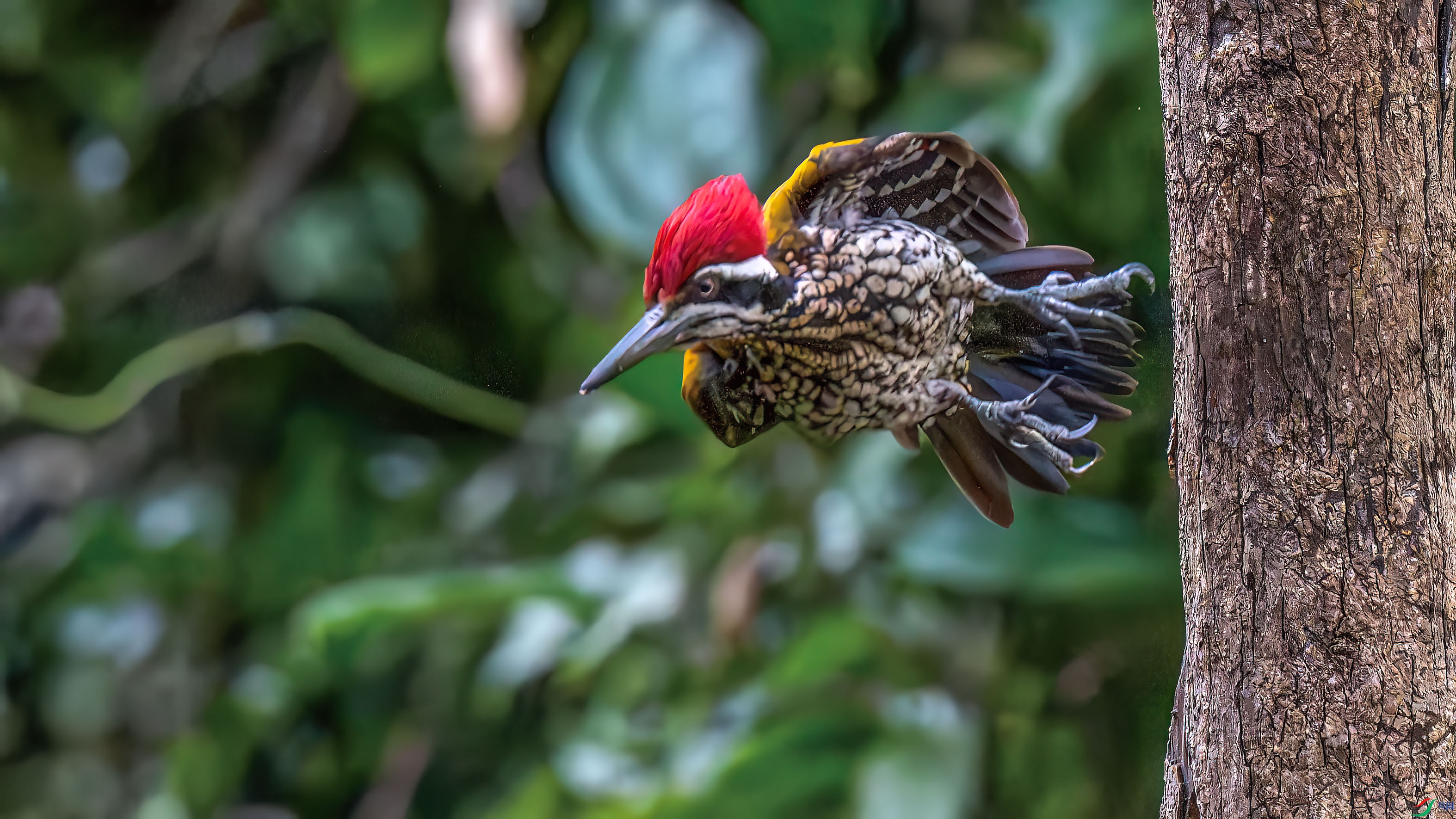 DSC_7463.jpg