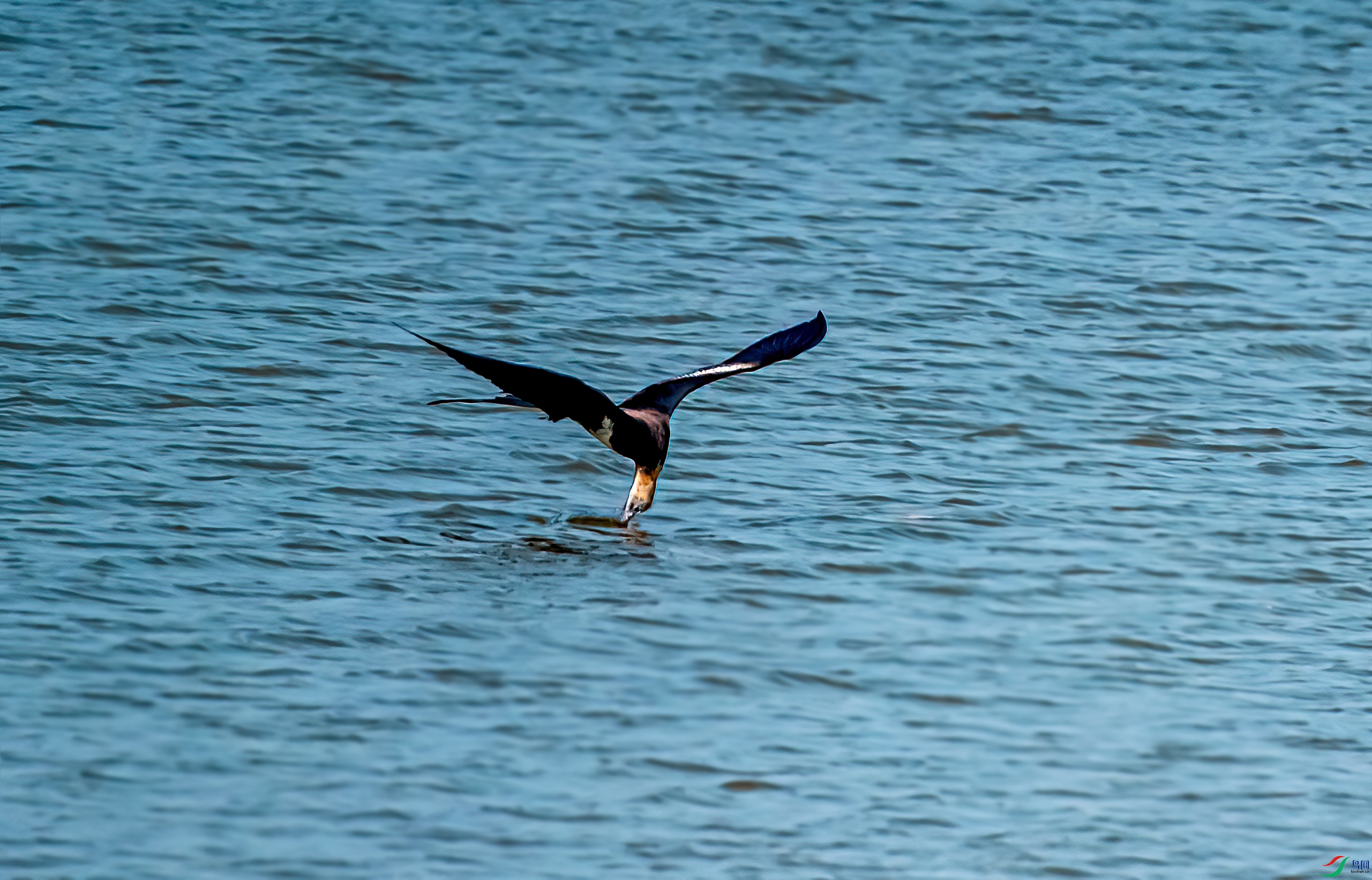 _DSC2499-21.jpg