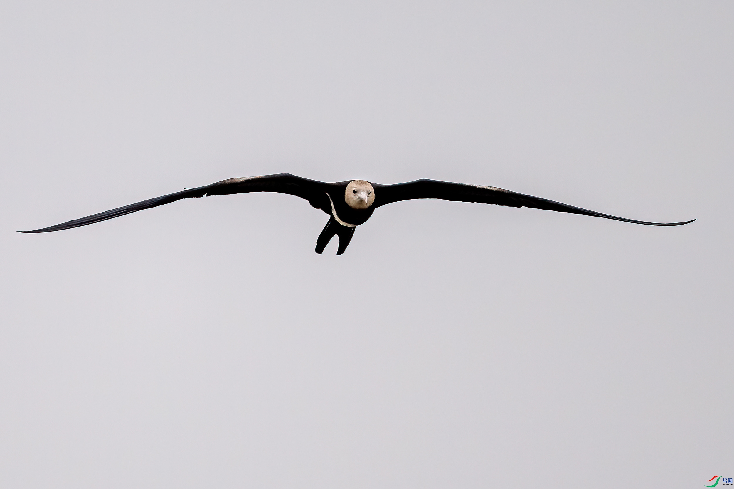 DSC_2484-11.jpg