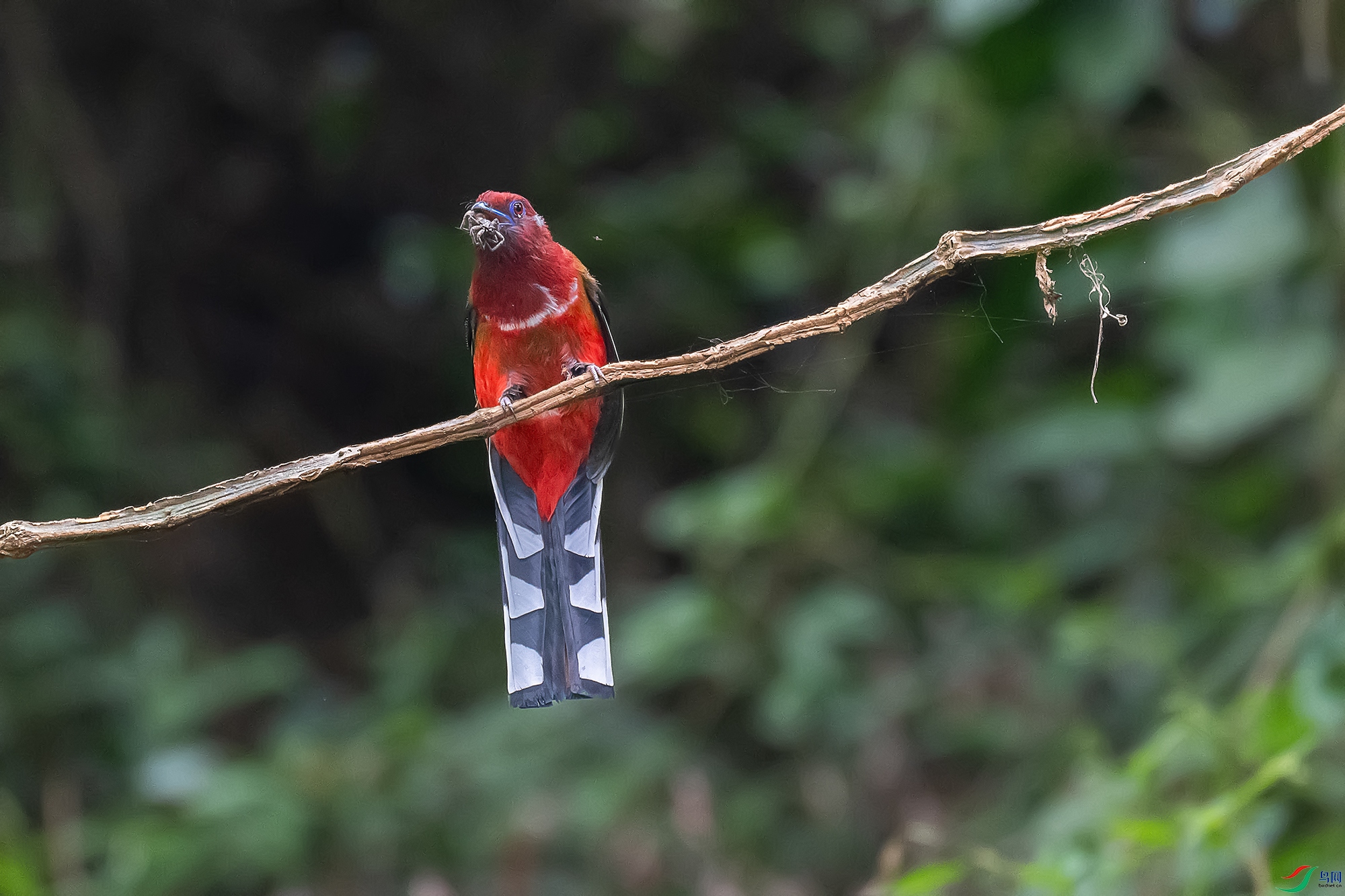 DSC_0213-1.jpg