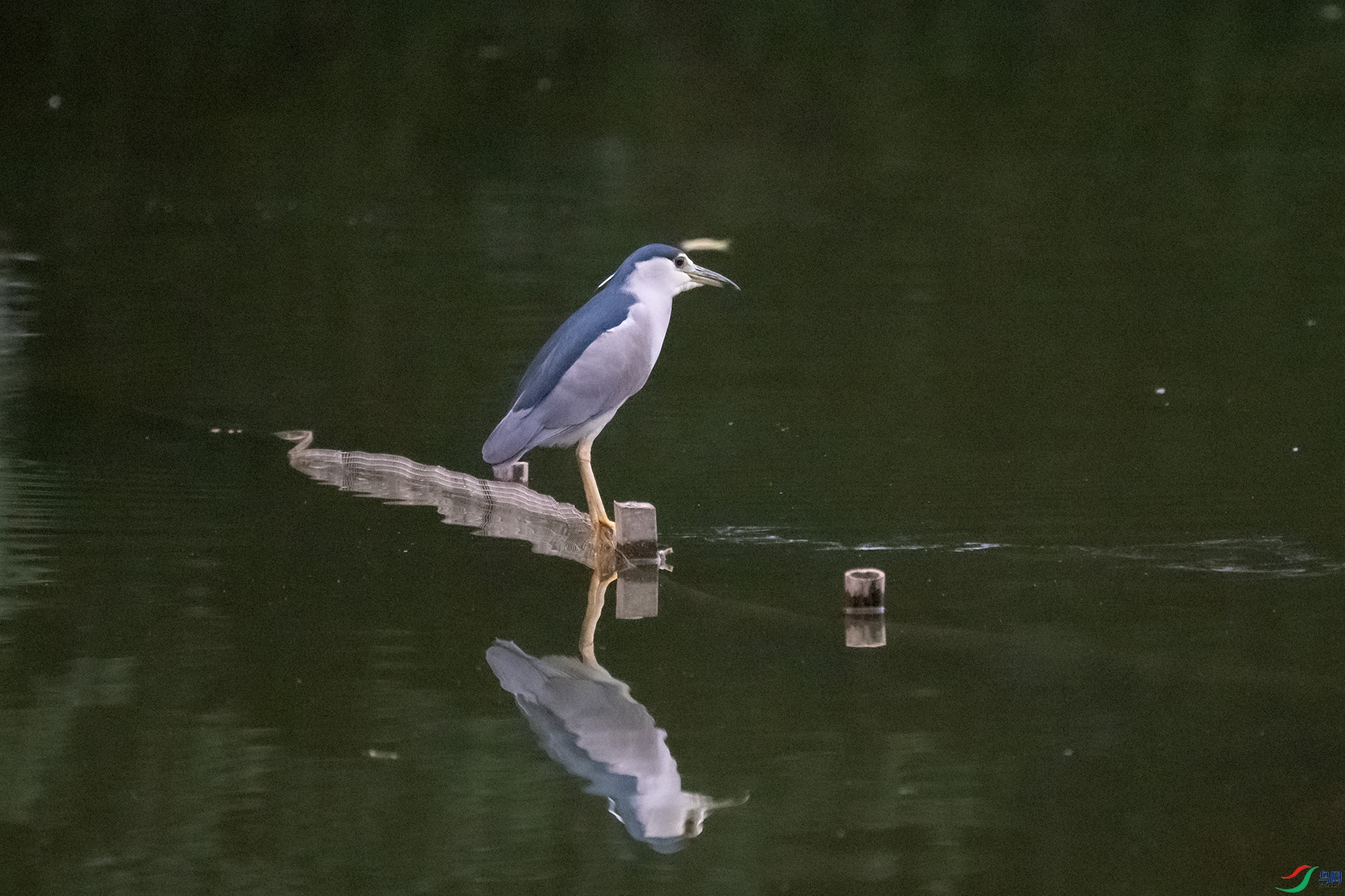 DSC_5208.jpg