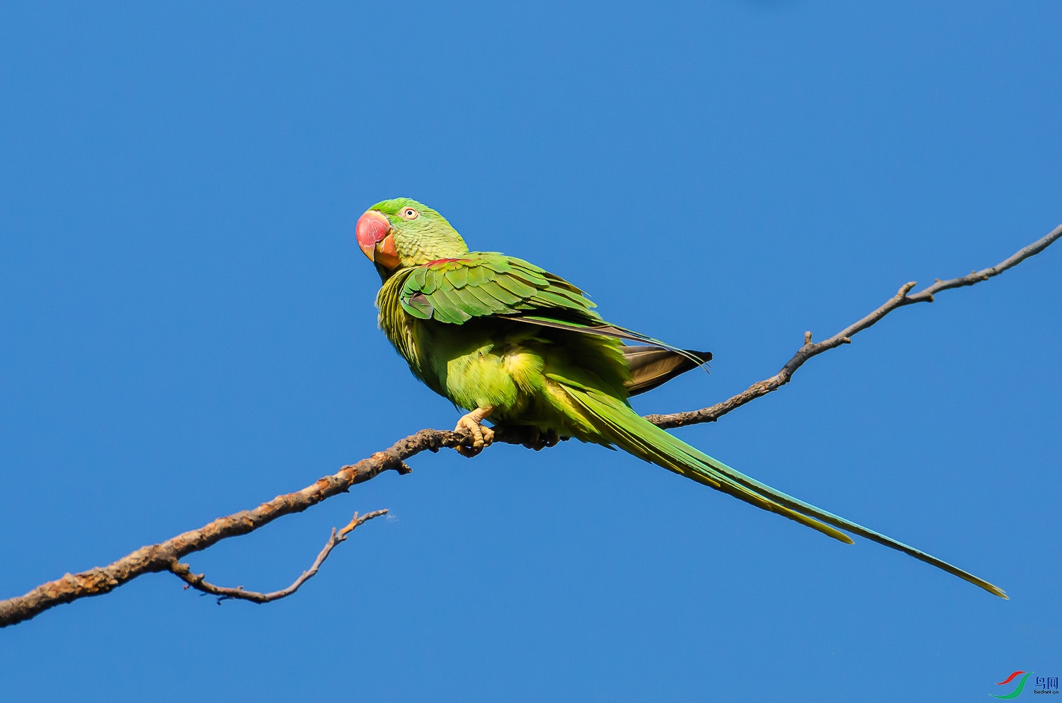 DSC_7774.jpg