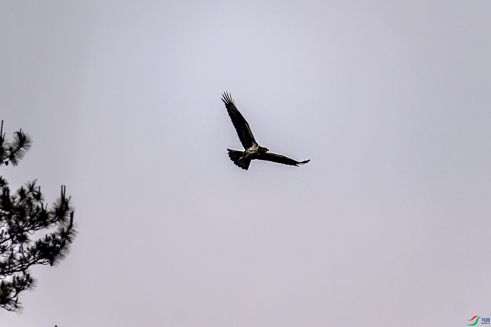 DSC_9792.jpg