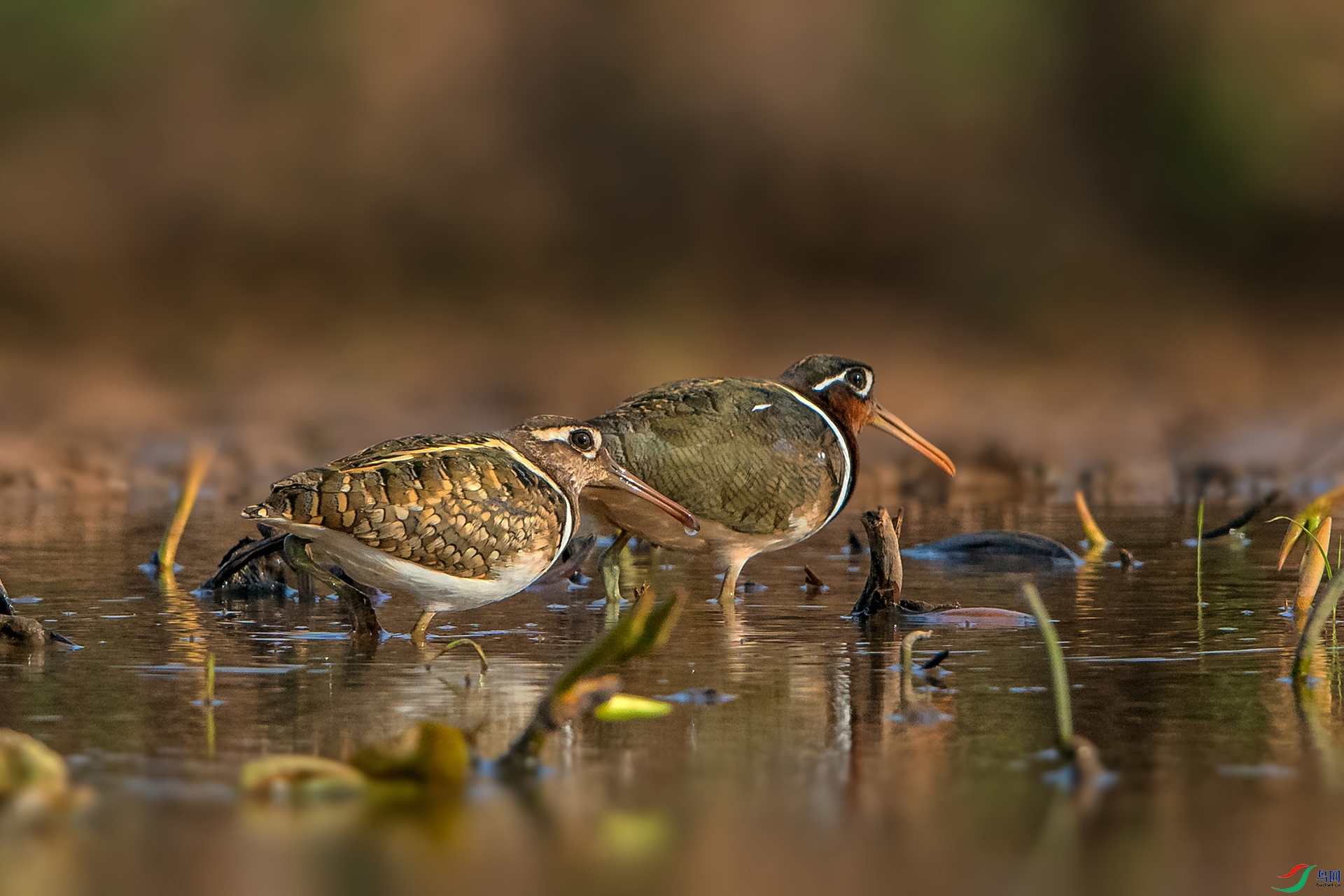 _AUU2530����(24.5.4).jpg