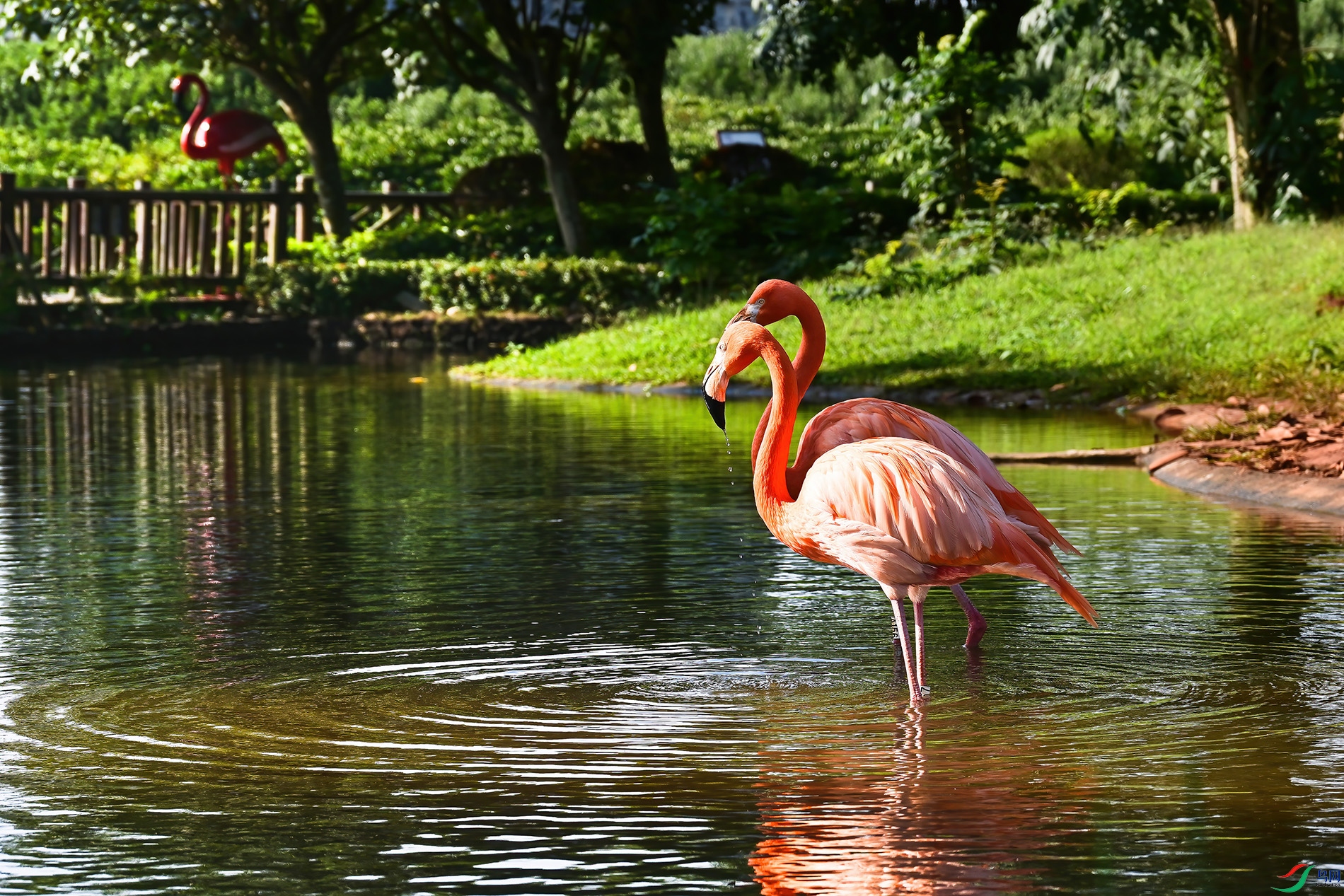 DSC_6826.jpg