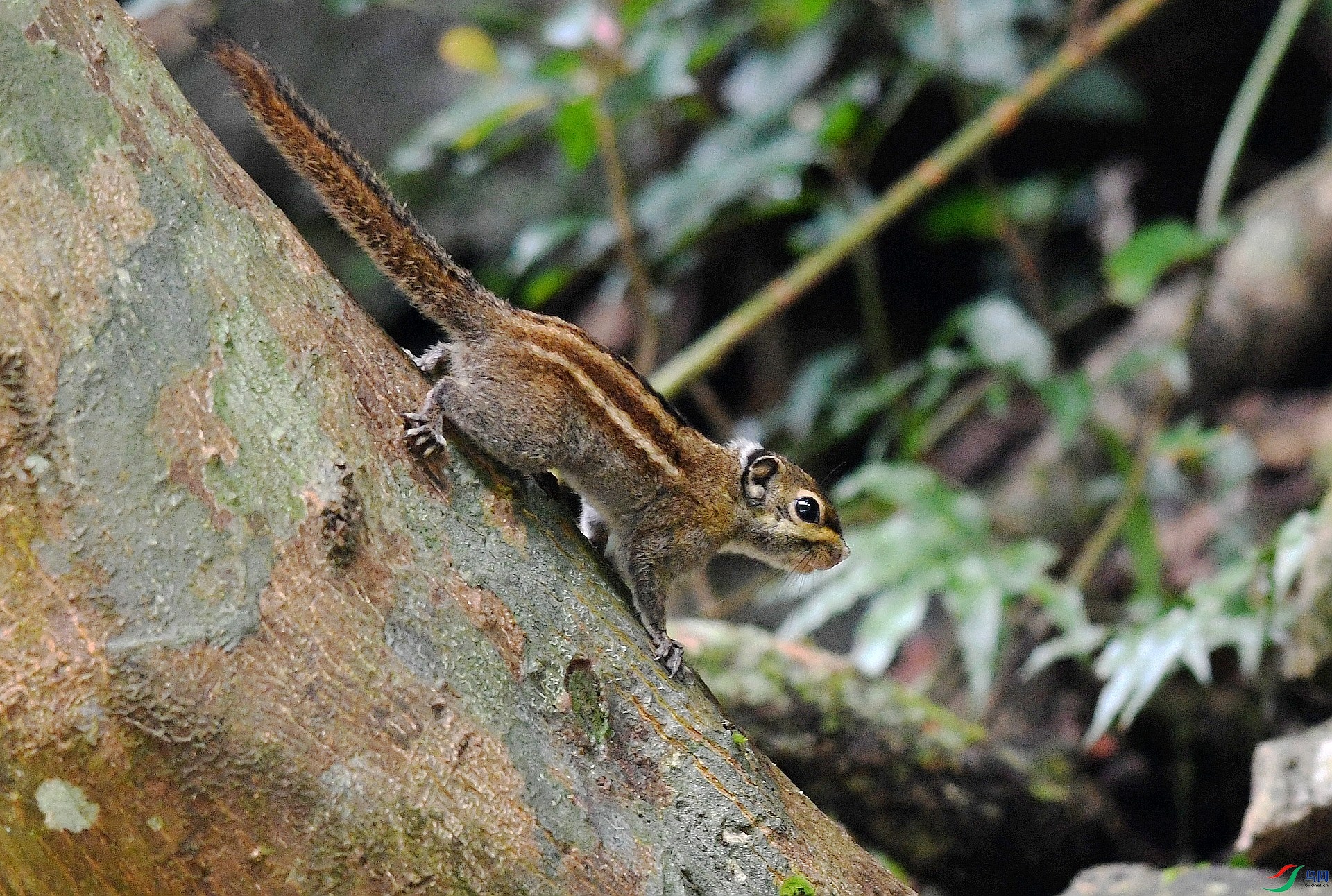 DSC_3652.jpg