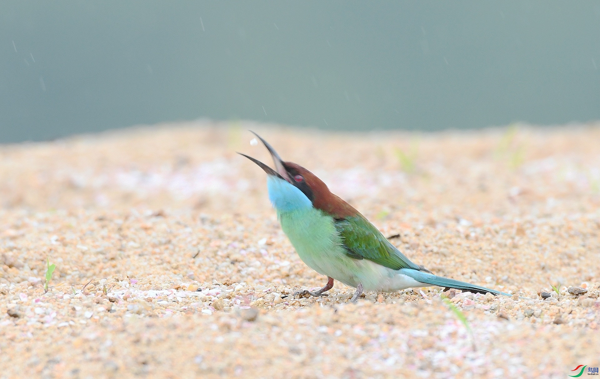 DSC_1657.jpg