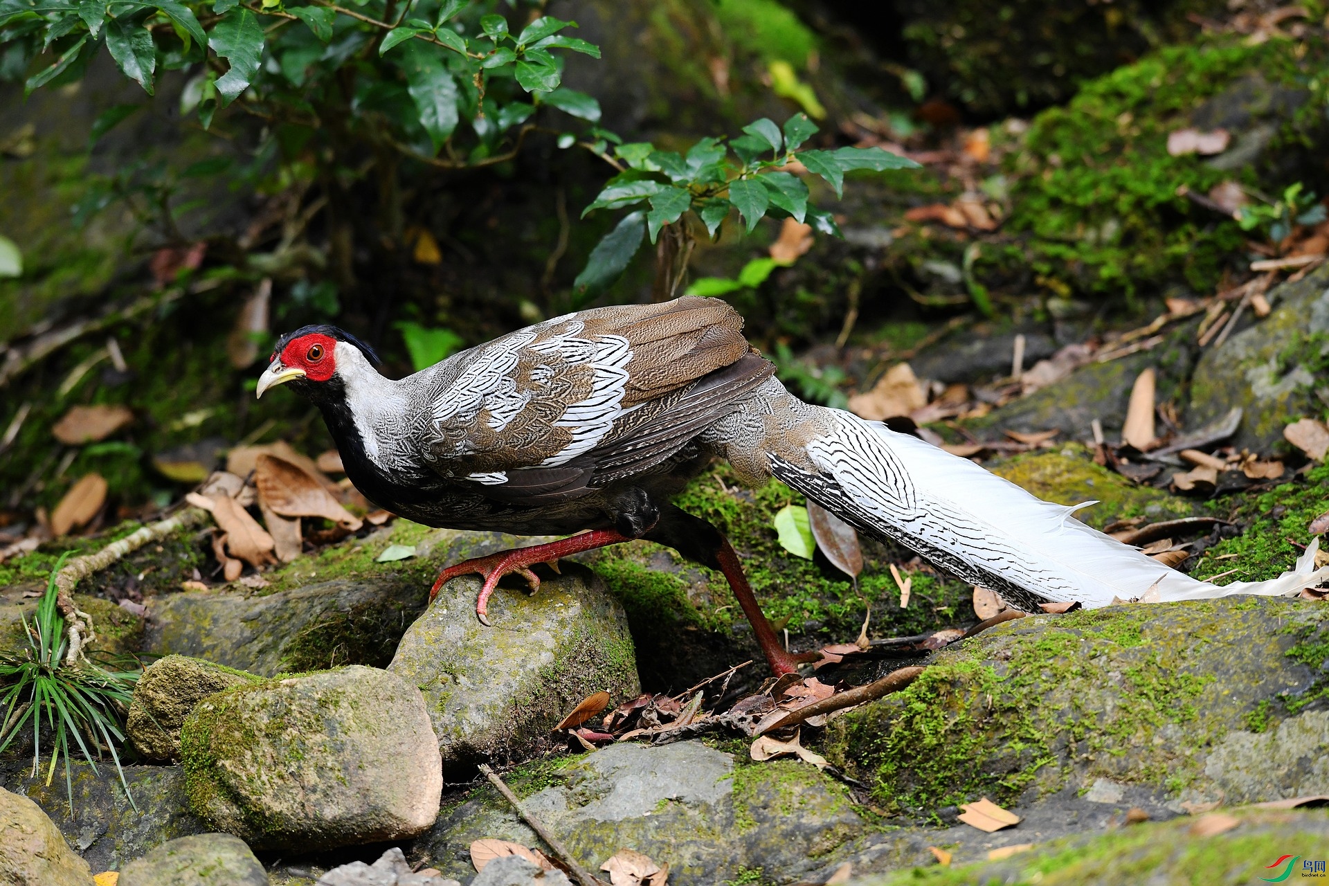DSC_0622.jpg