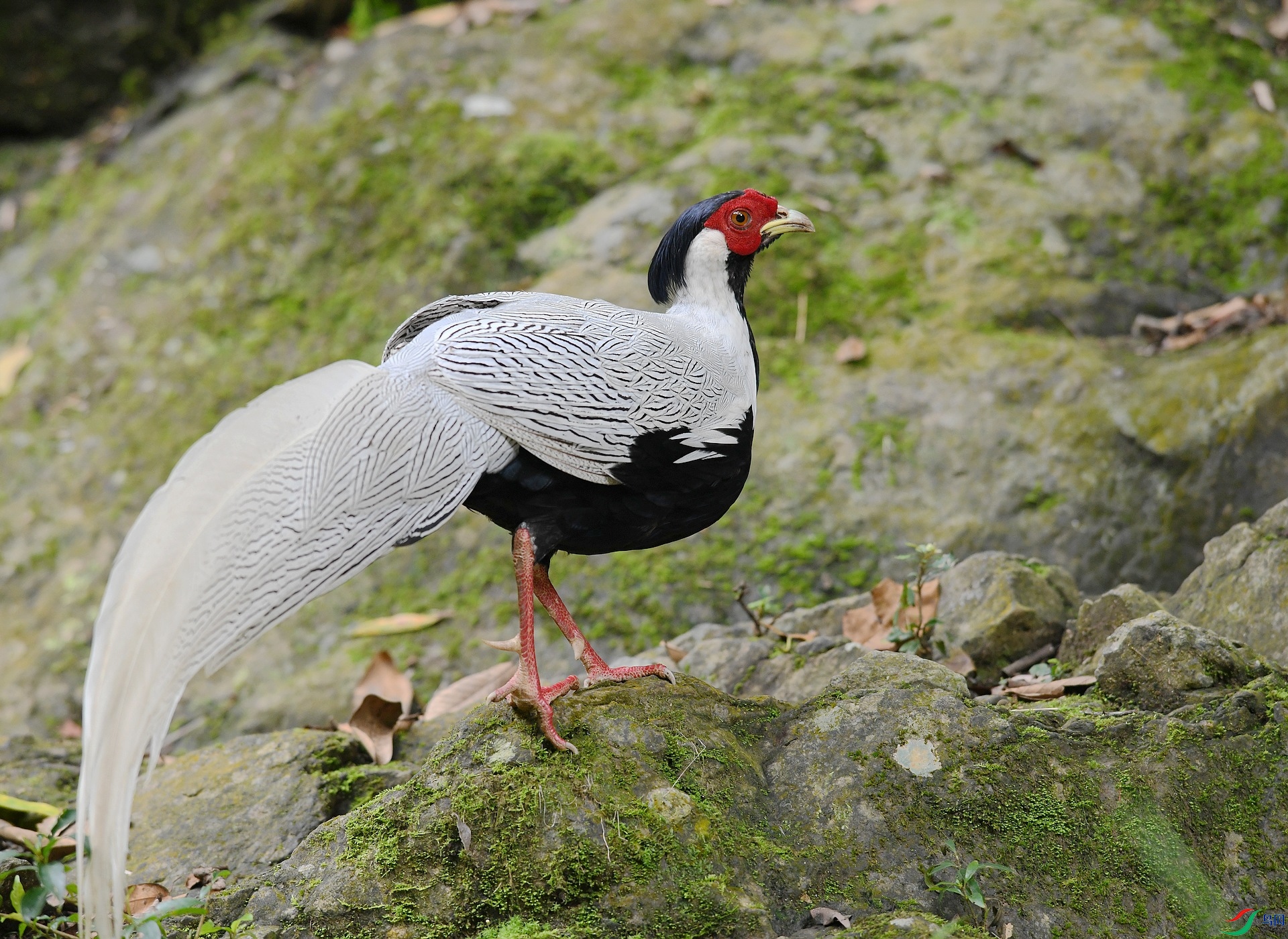 DSC_3936.jpg