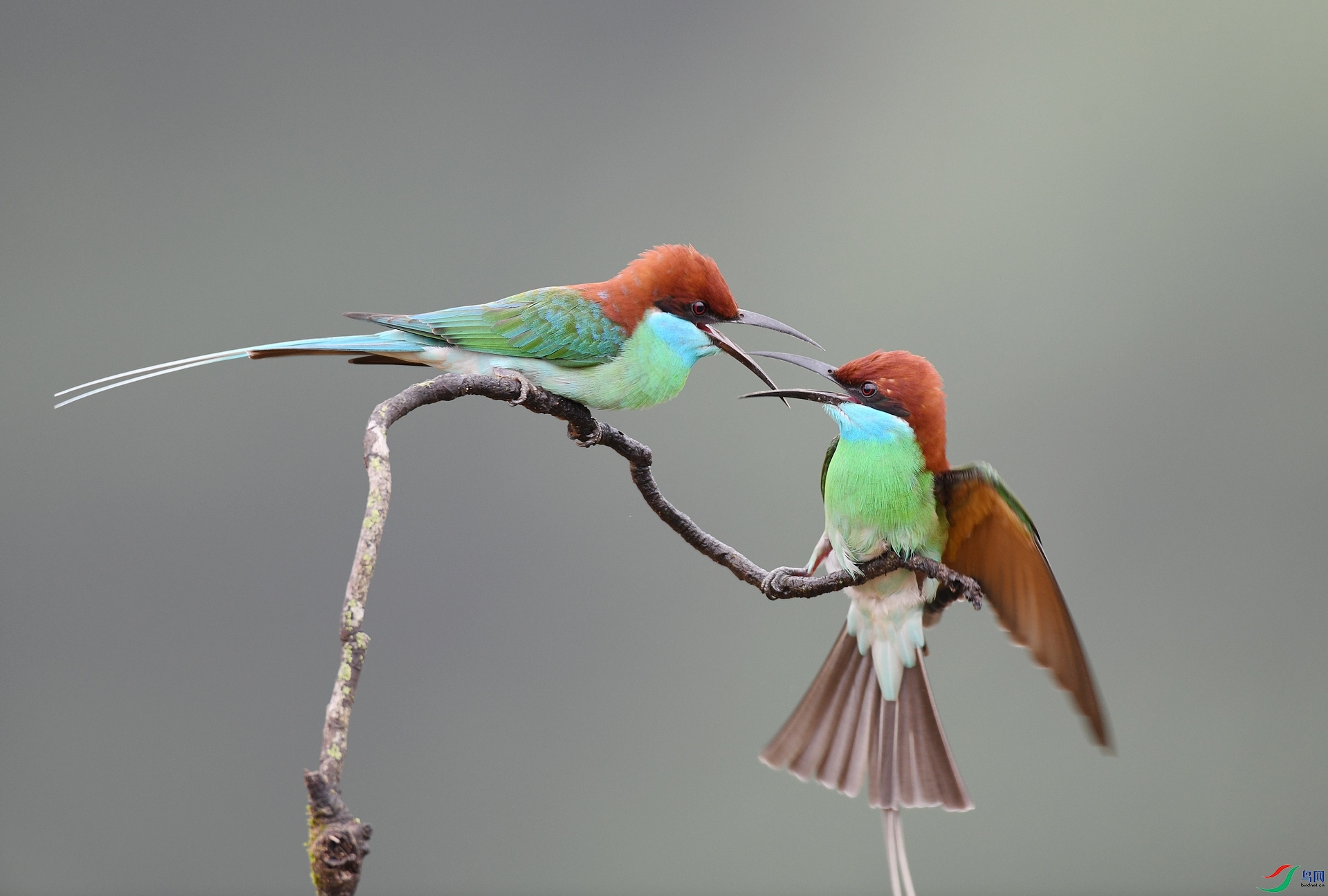DSC_4329.jpg
