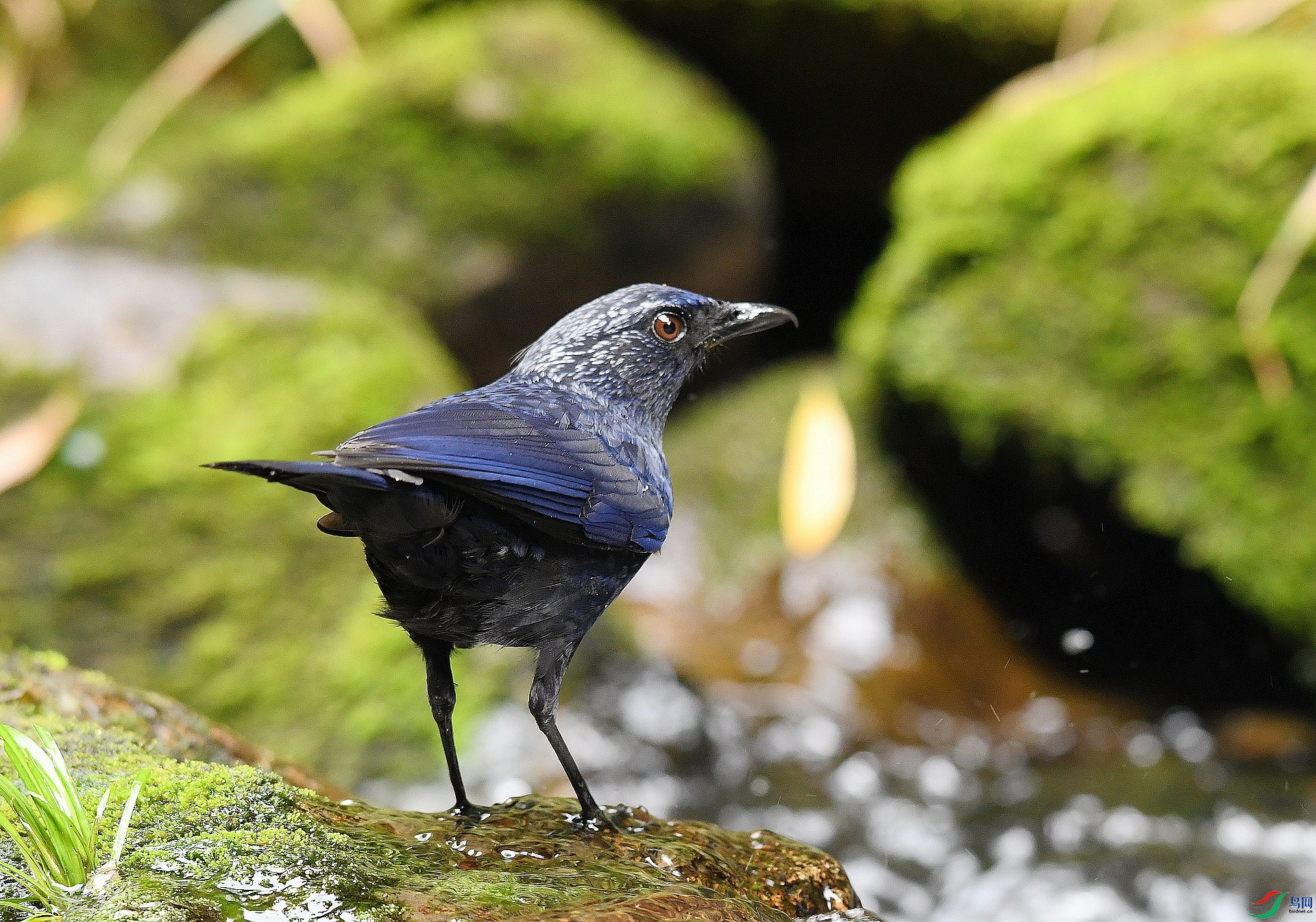 DSC_3894.jpg