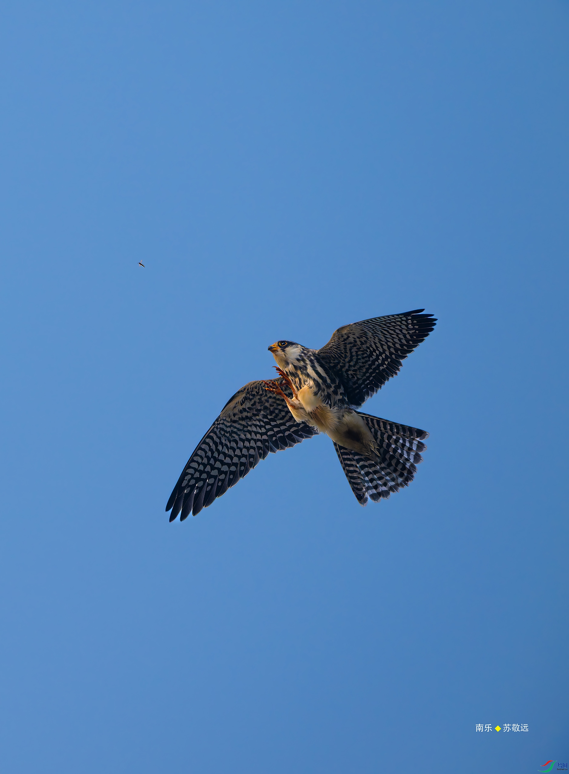 _DSC3090-DxO_С.jpg