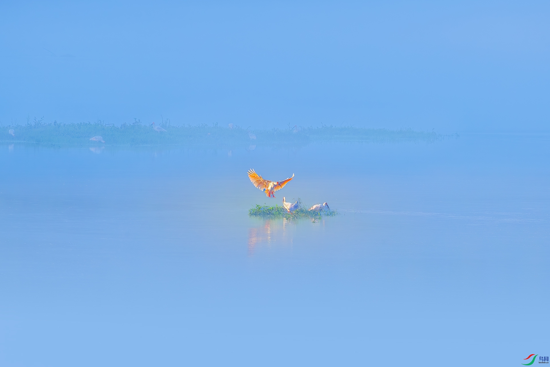 A74I1254_����.jpg