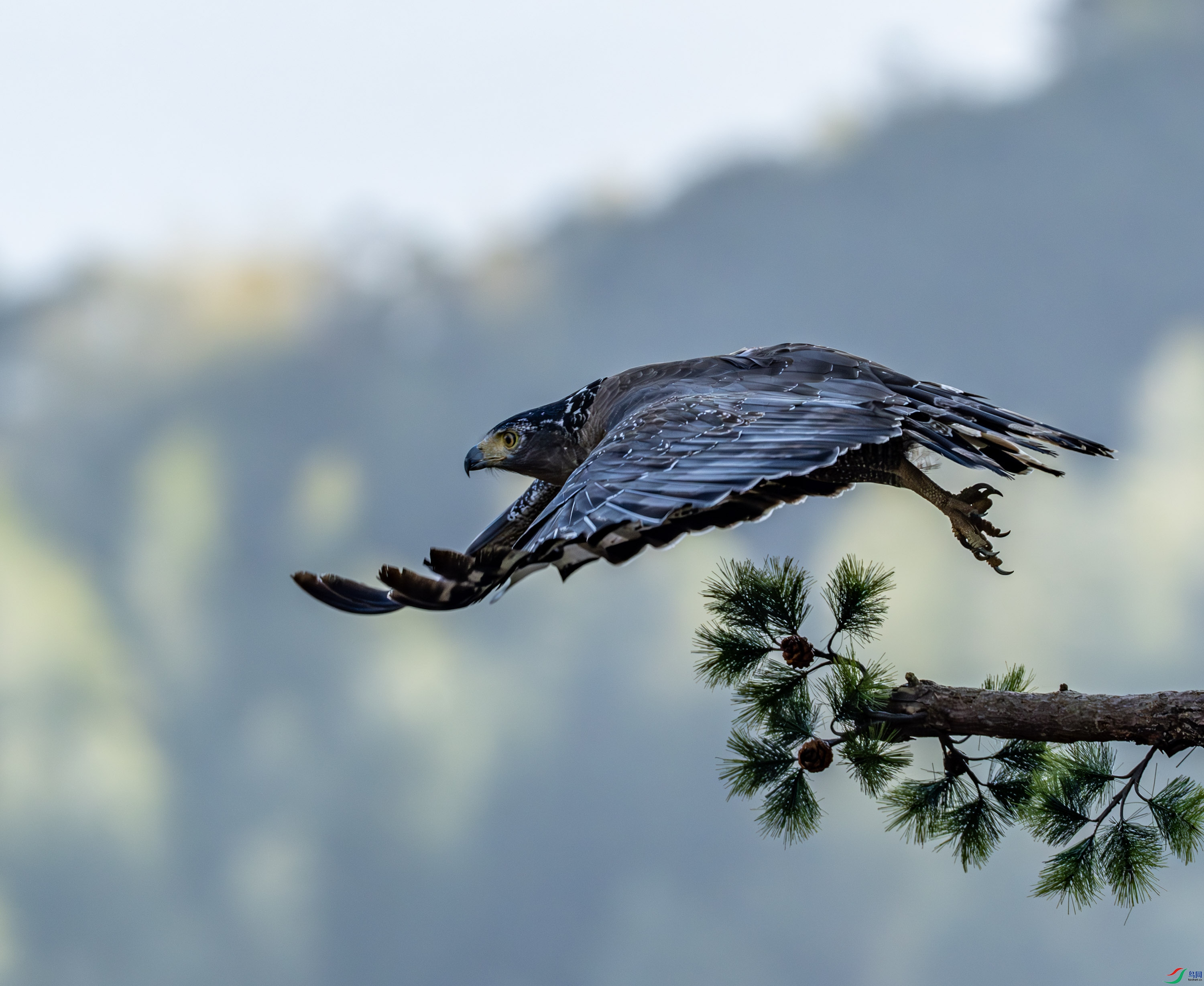 �ߵ�-01-20.jpg
