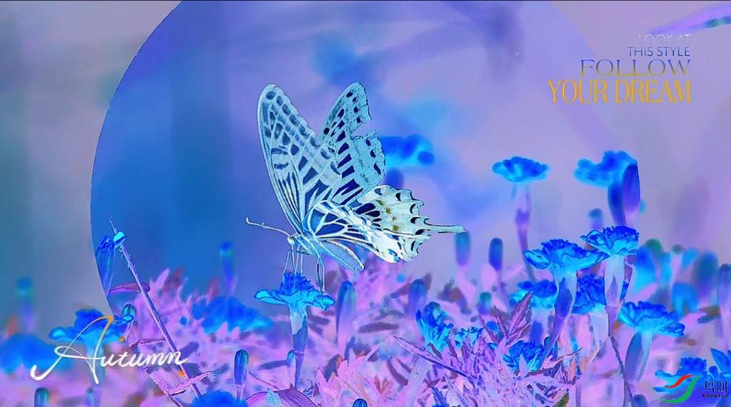 fdeb9fb95c36039042c1412ae6c17483_720.png