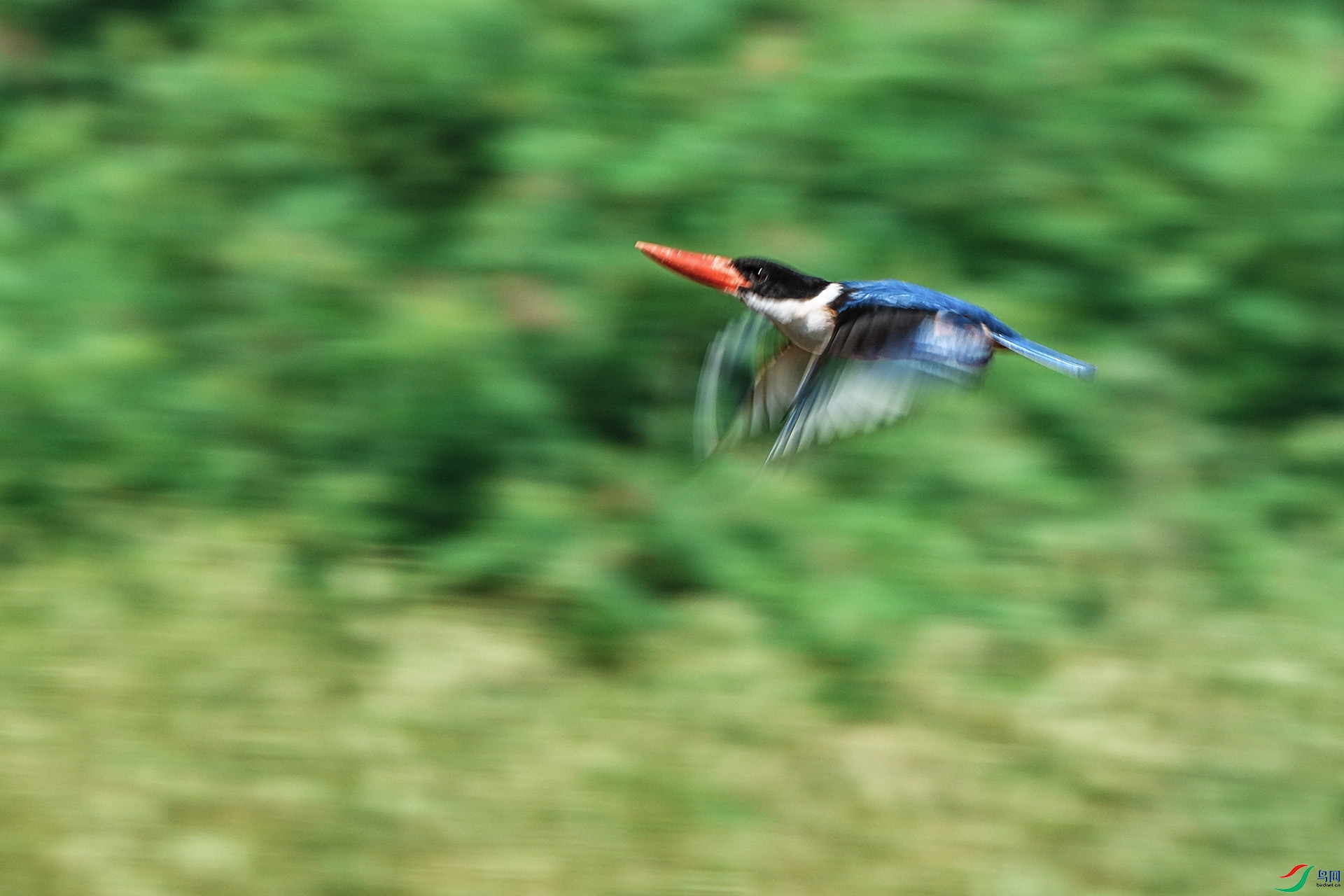 DSC07683-1.jpg