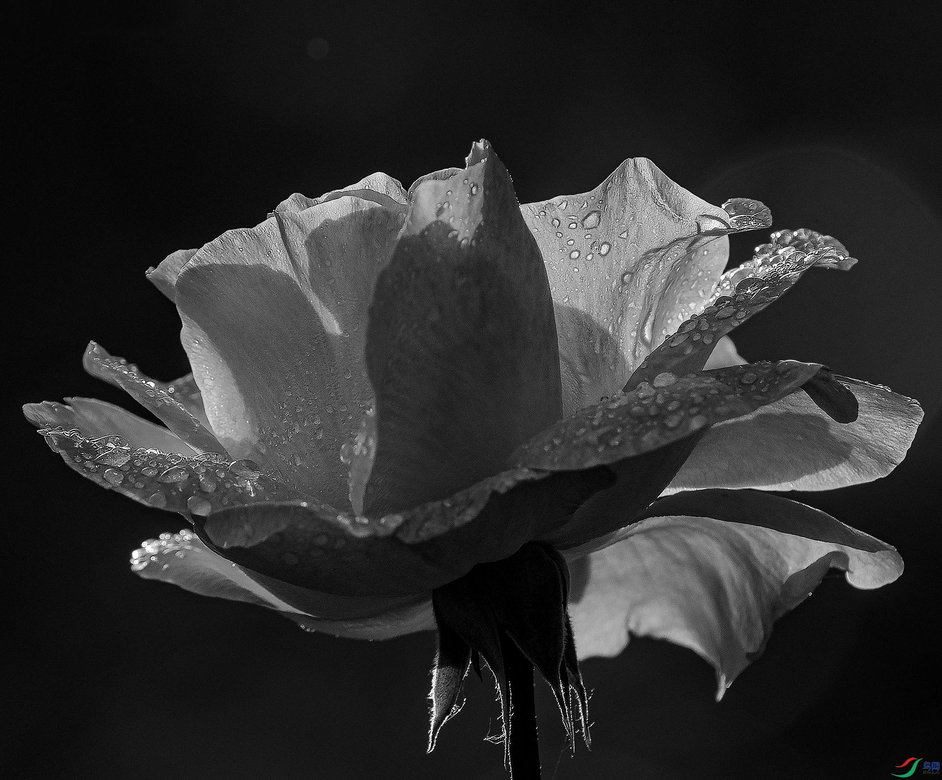 0516����.jpg