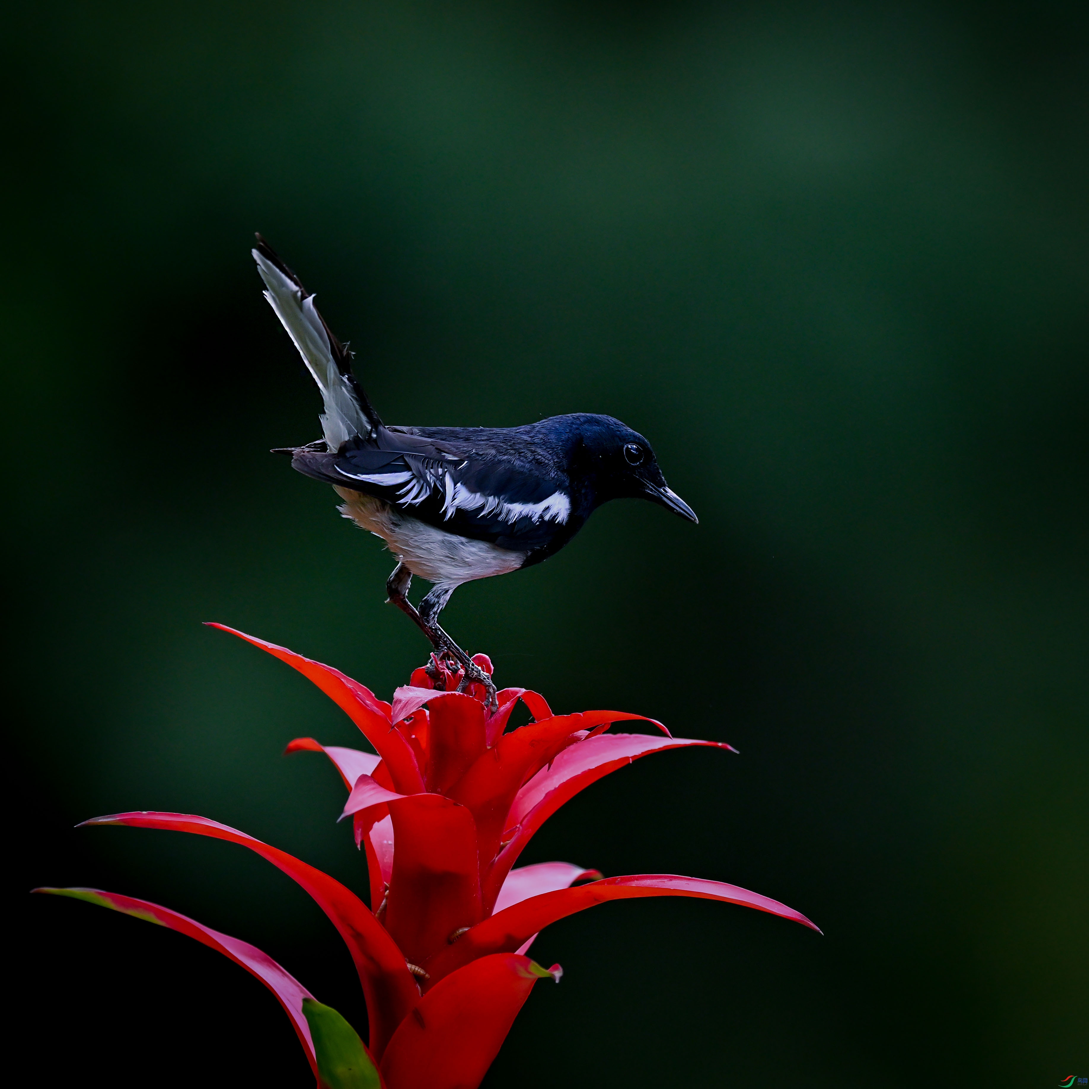 DSC_5039.jpg