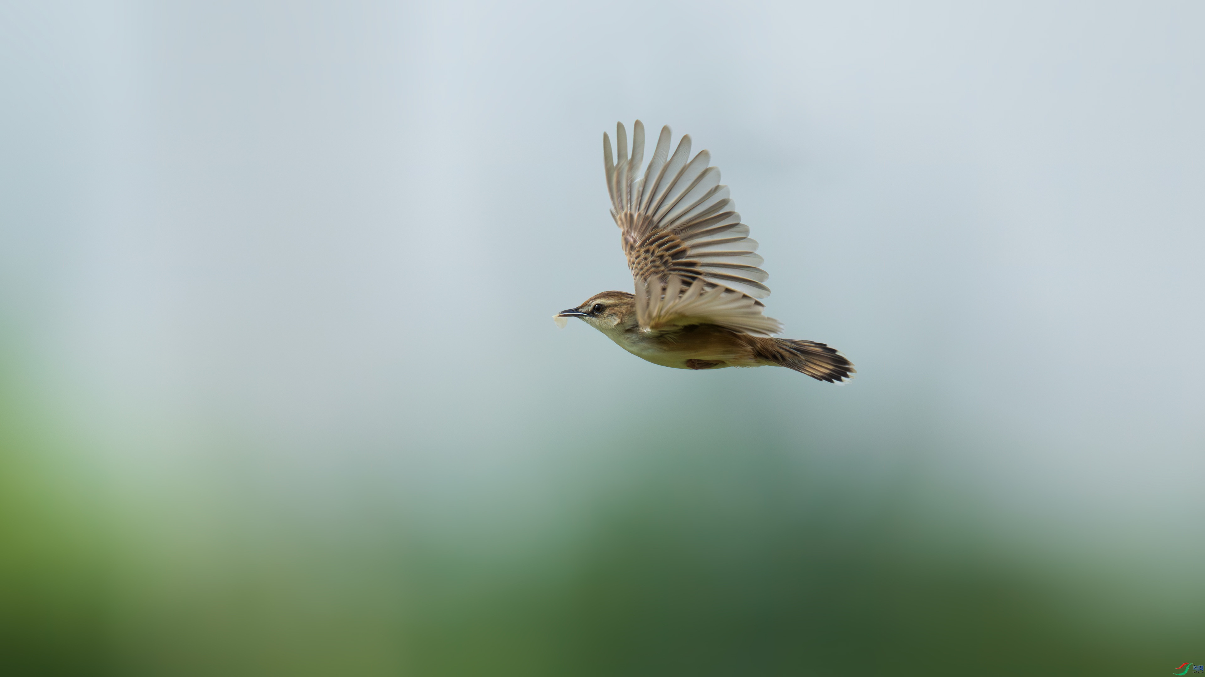 DSC_1247.jpg