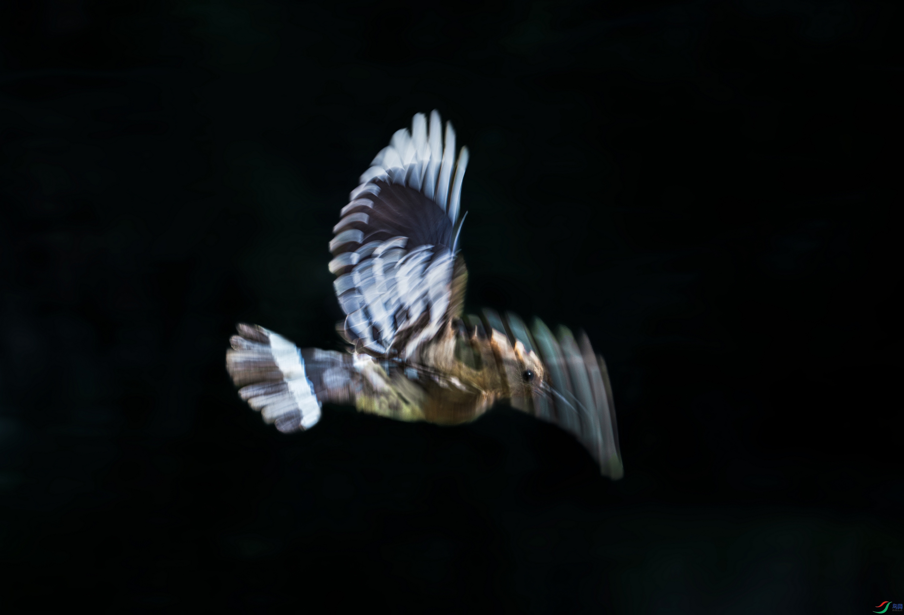 DSC_8878.jpg