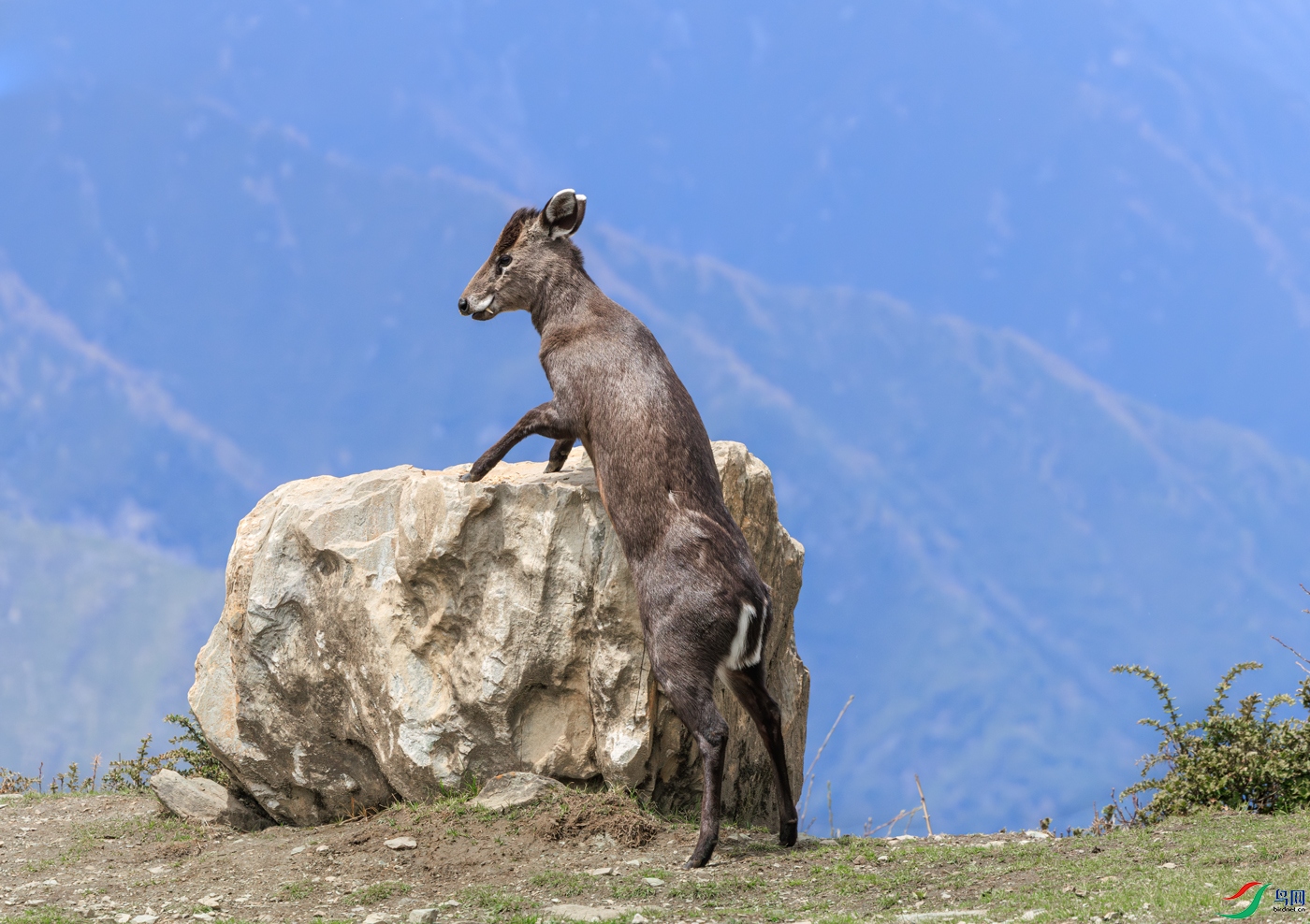 ë��¹1M5A5726.jpg