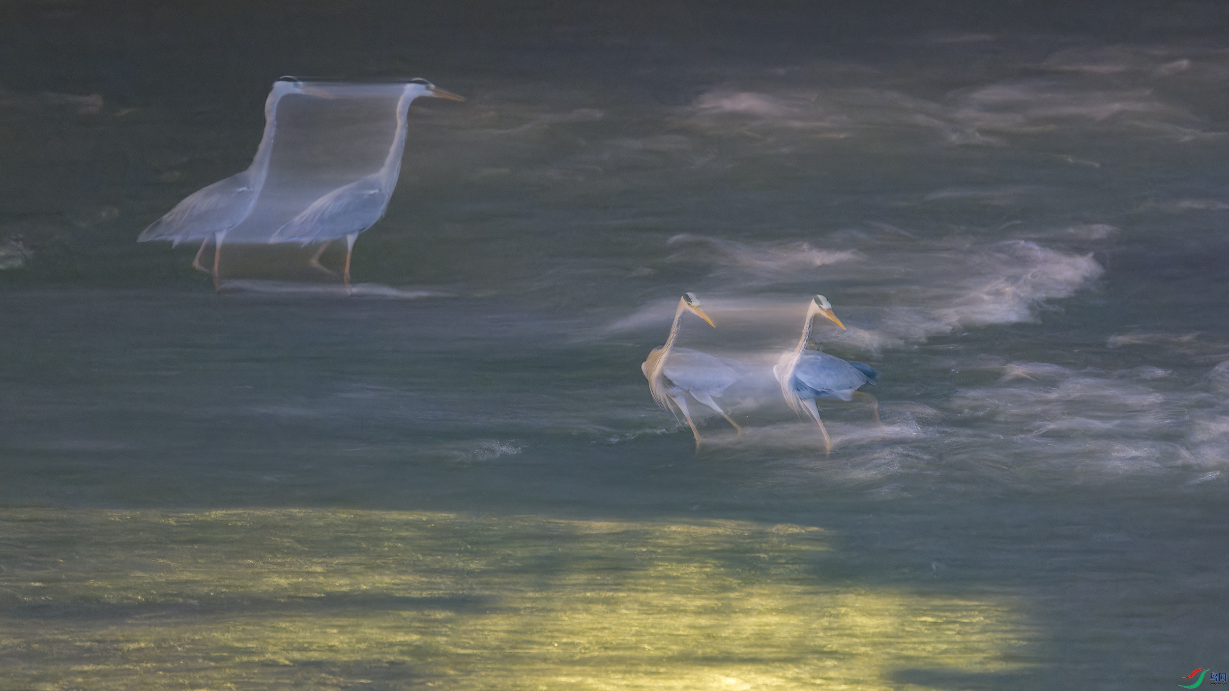 DSC_2292_DxO.jpg