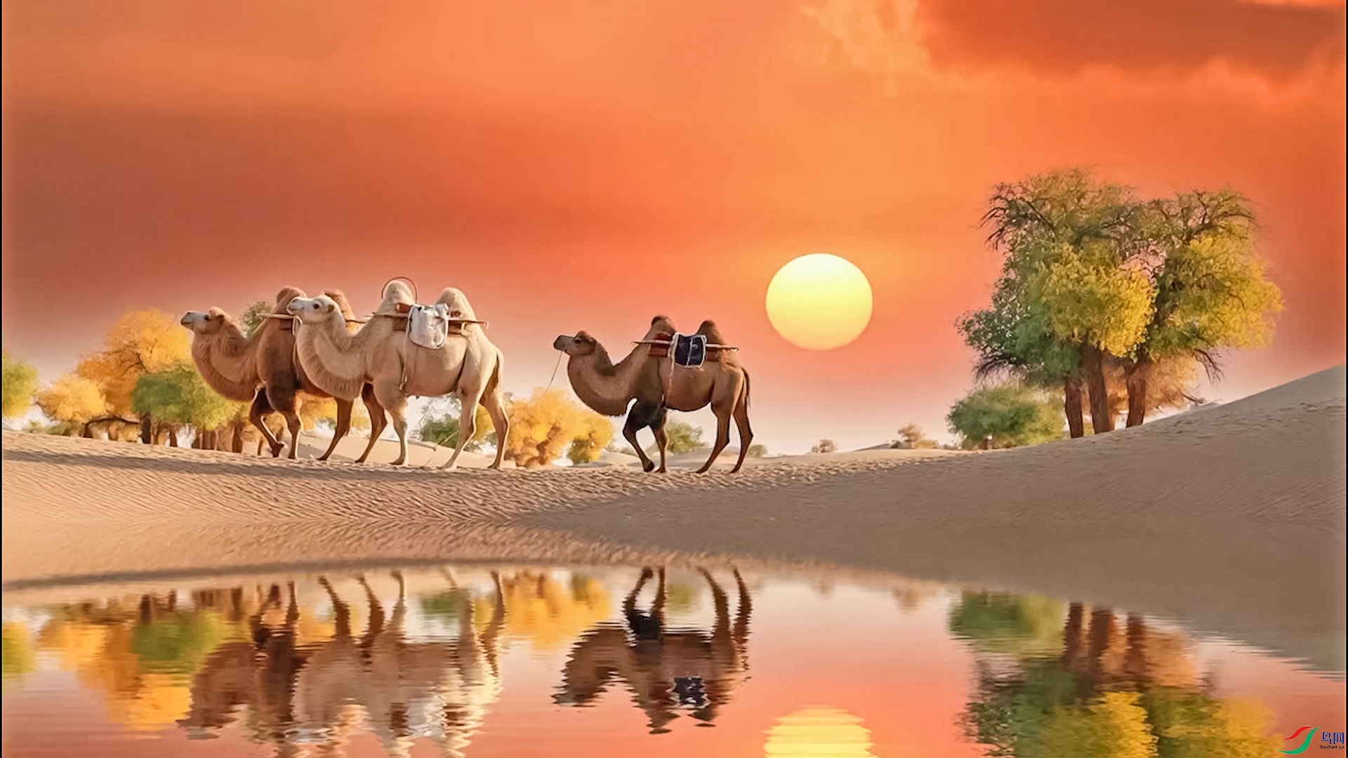 ɳĮ����.00_00_33_27.Still001.jpg
