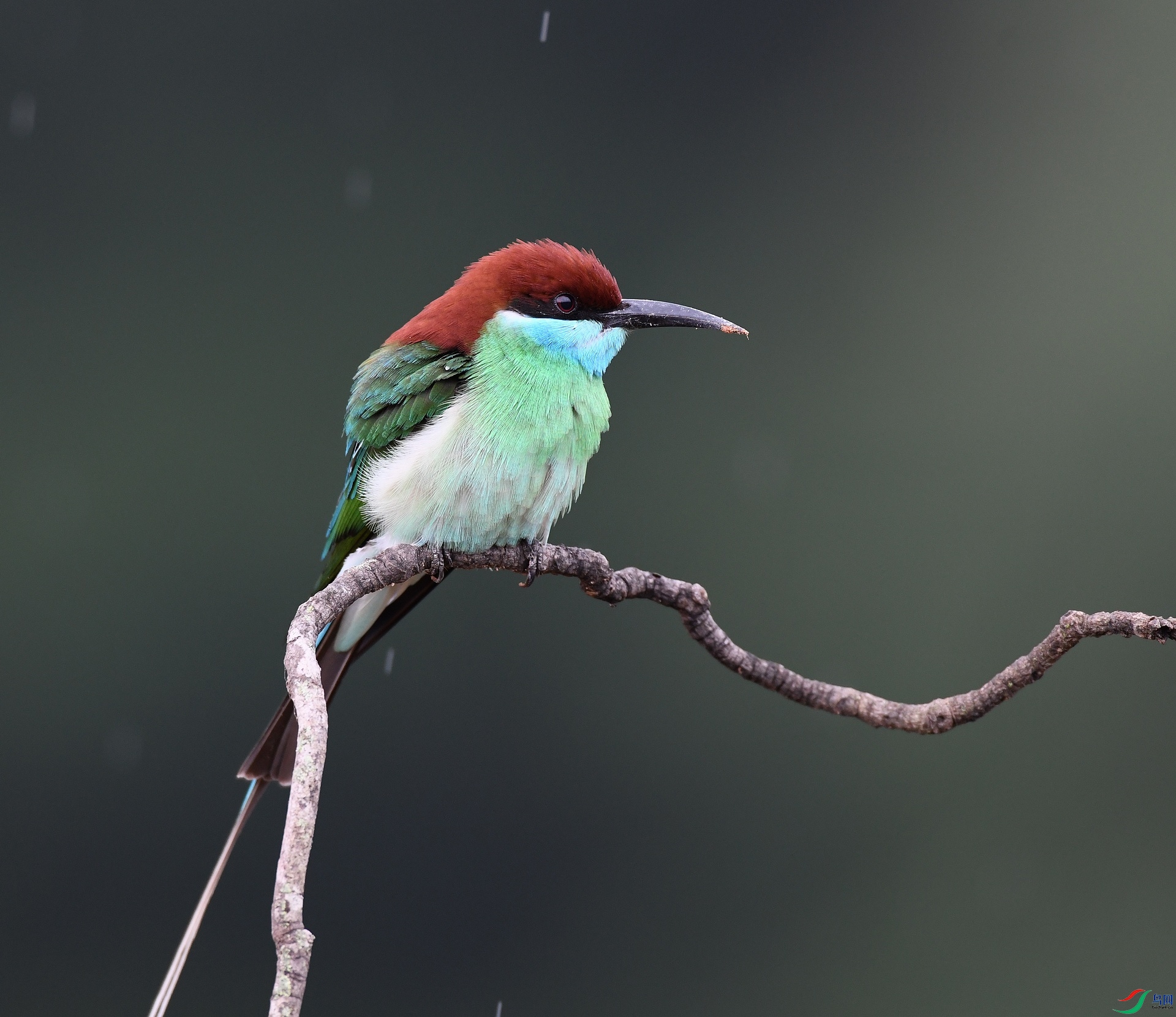 DSC_6462.jpg