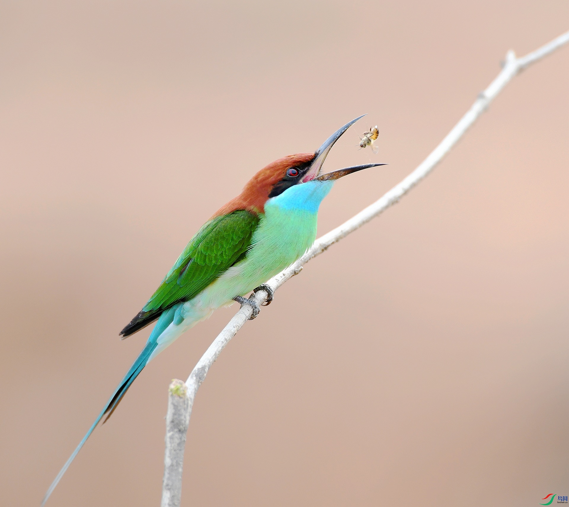 DSC_0220.jpg