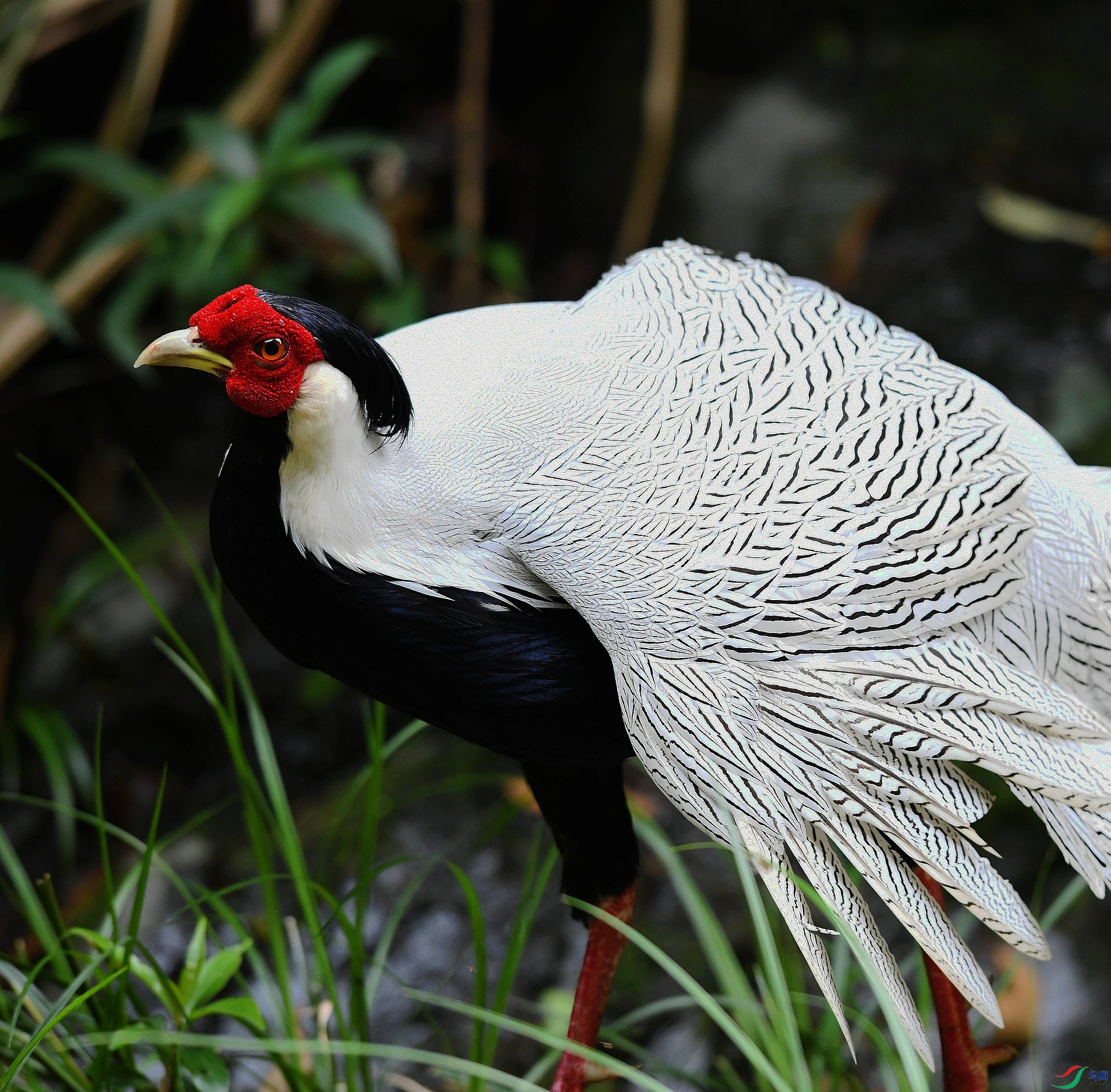 DSC_6419.jpg