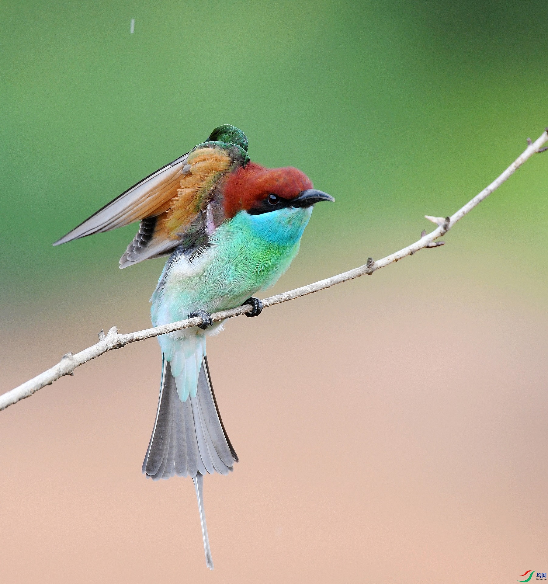 DSC_6451.jpg