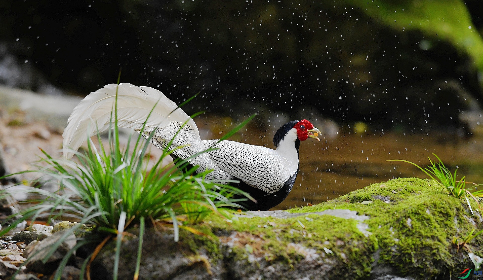 DSC_6340.jpg