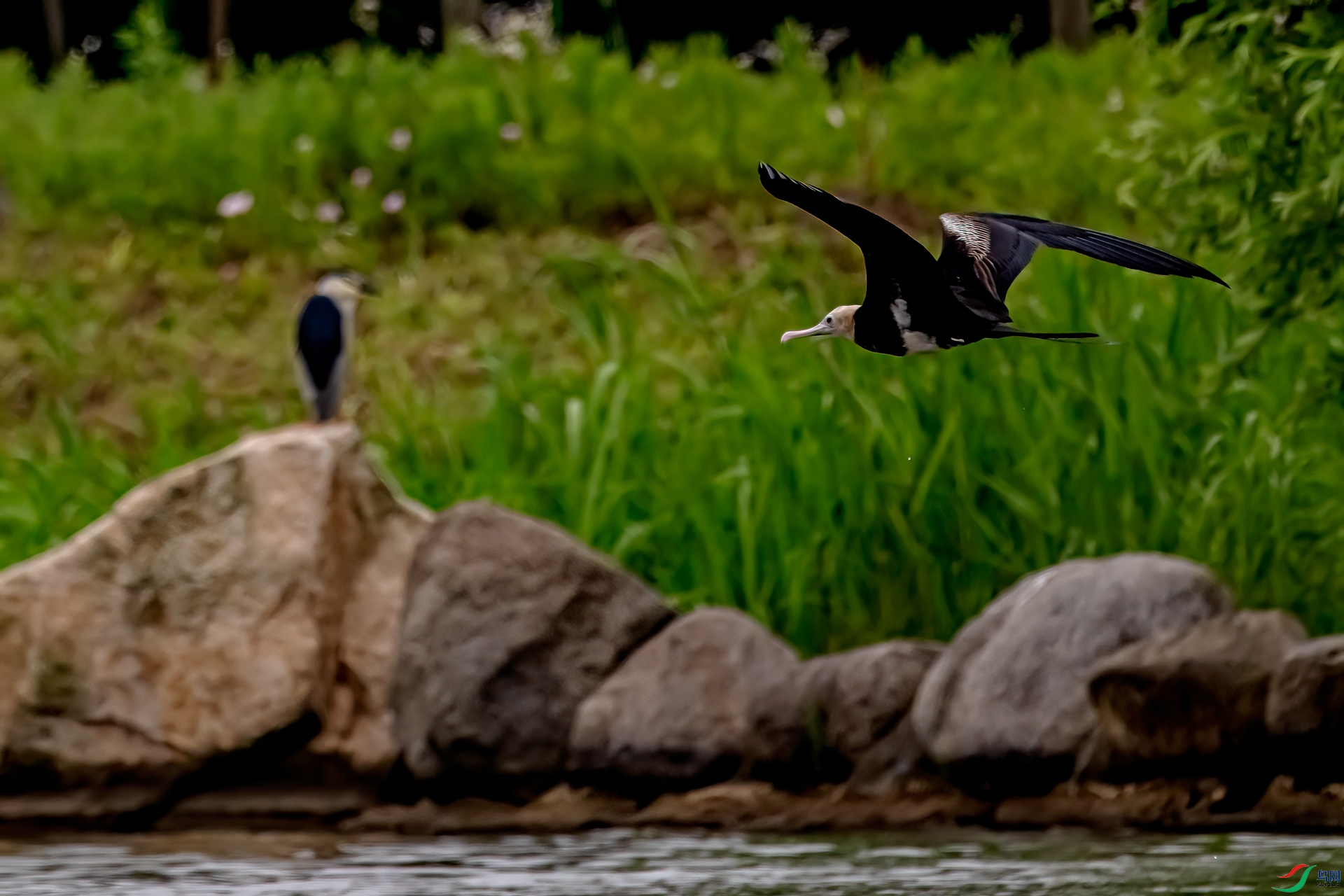 DSC_3712-11.jpg