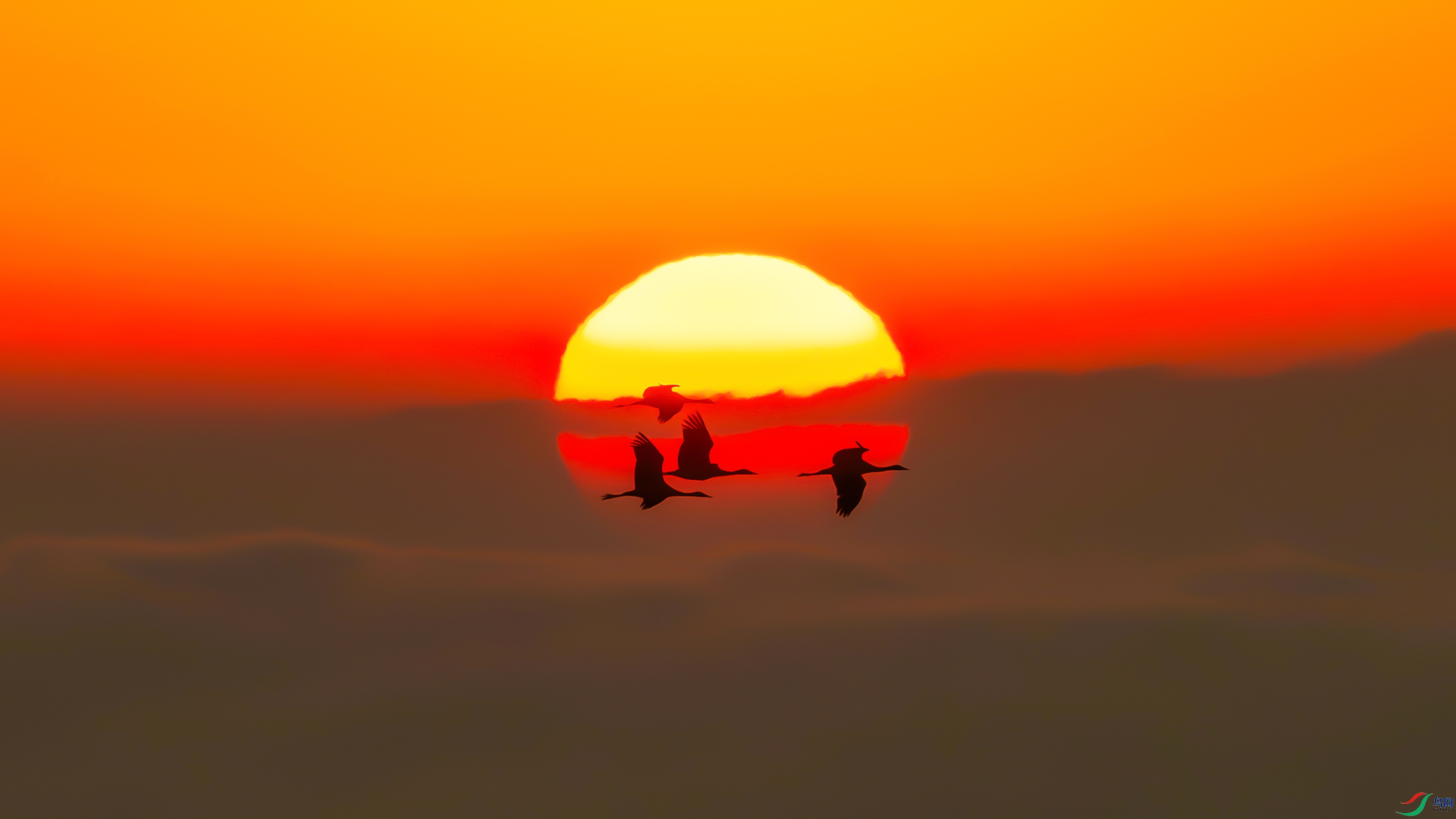 DSC_1625.jpg