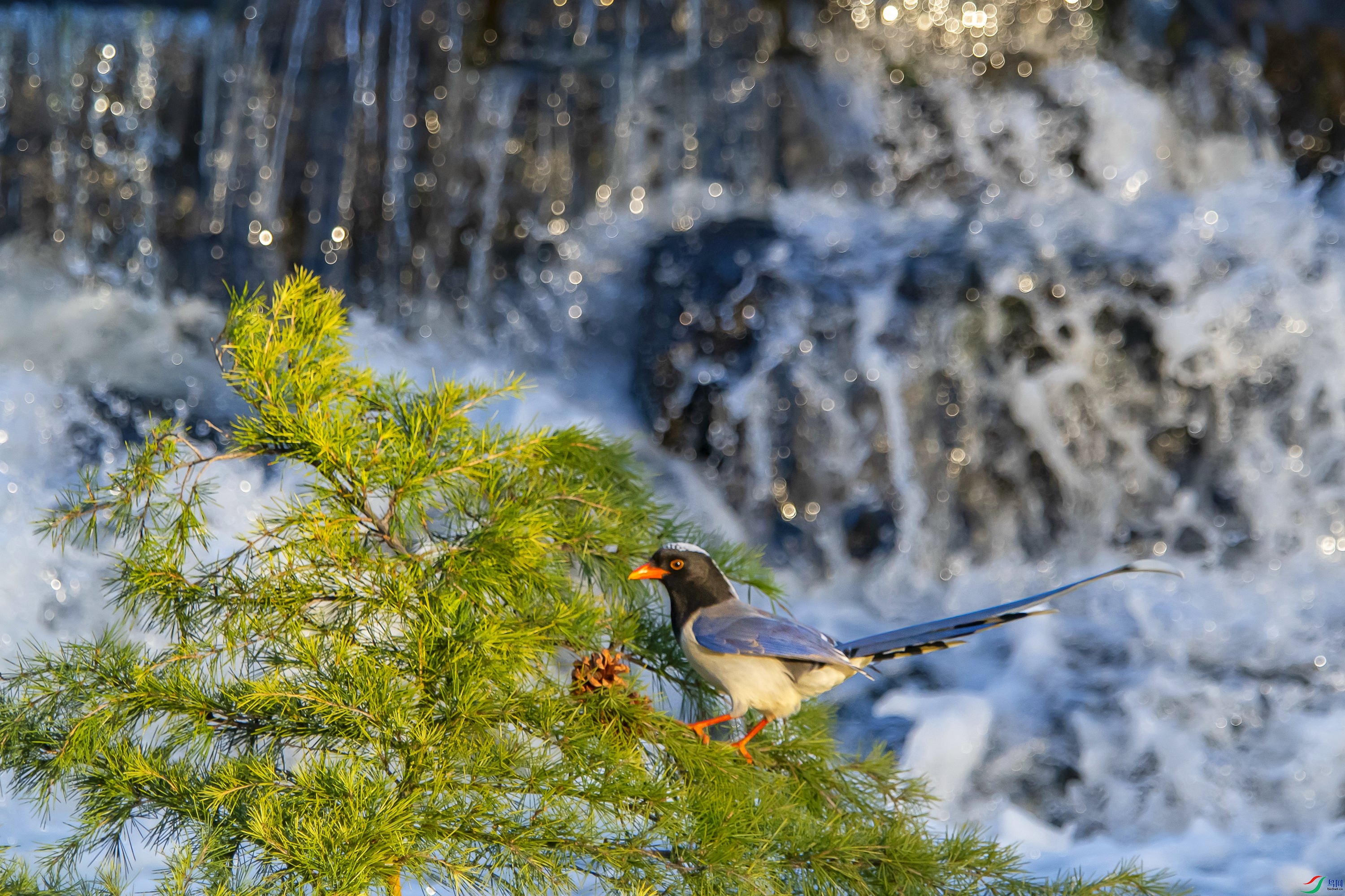 DSC_9569.jpg