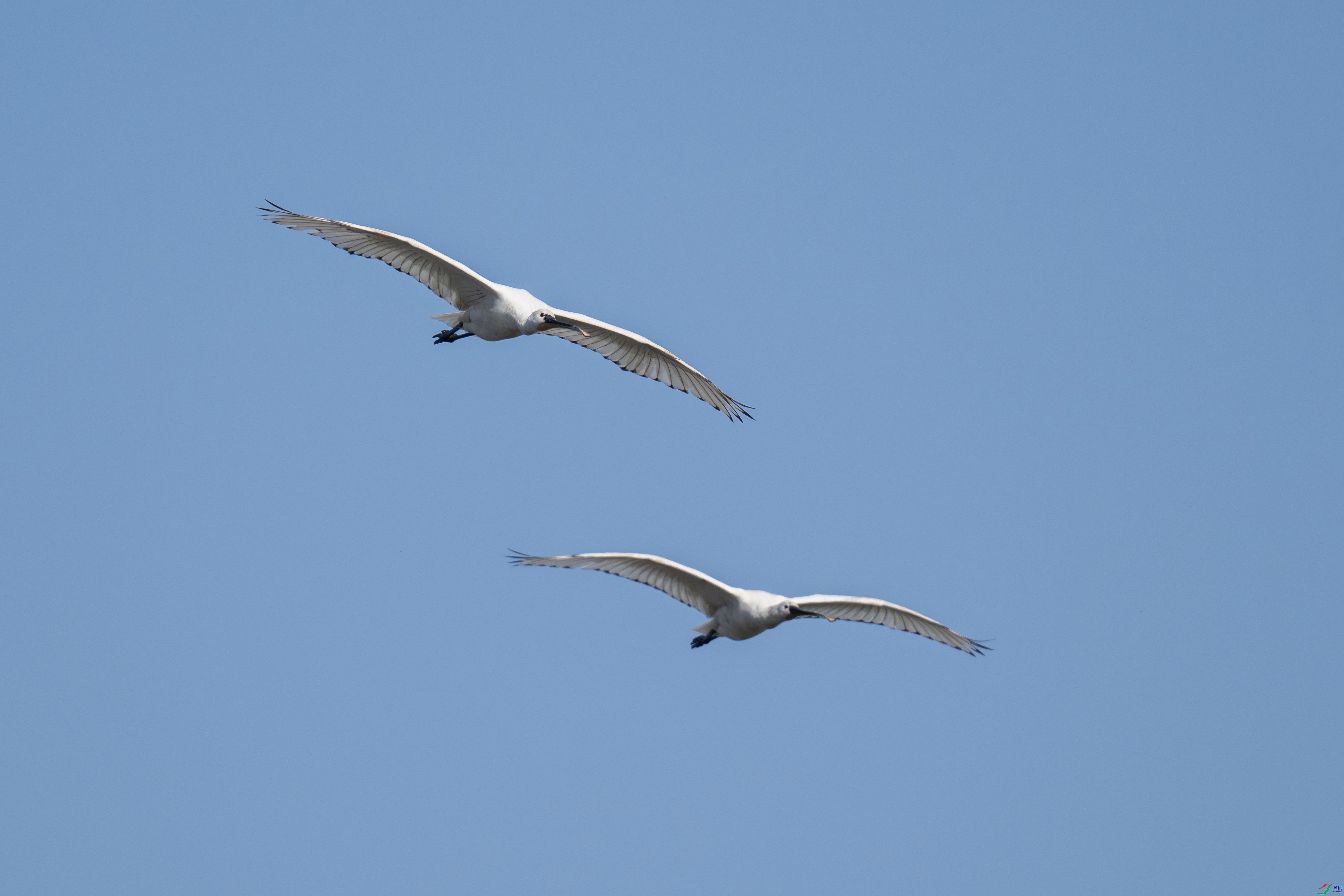 DSC_8781-����.jpg