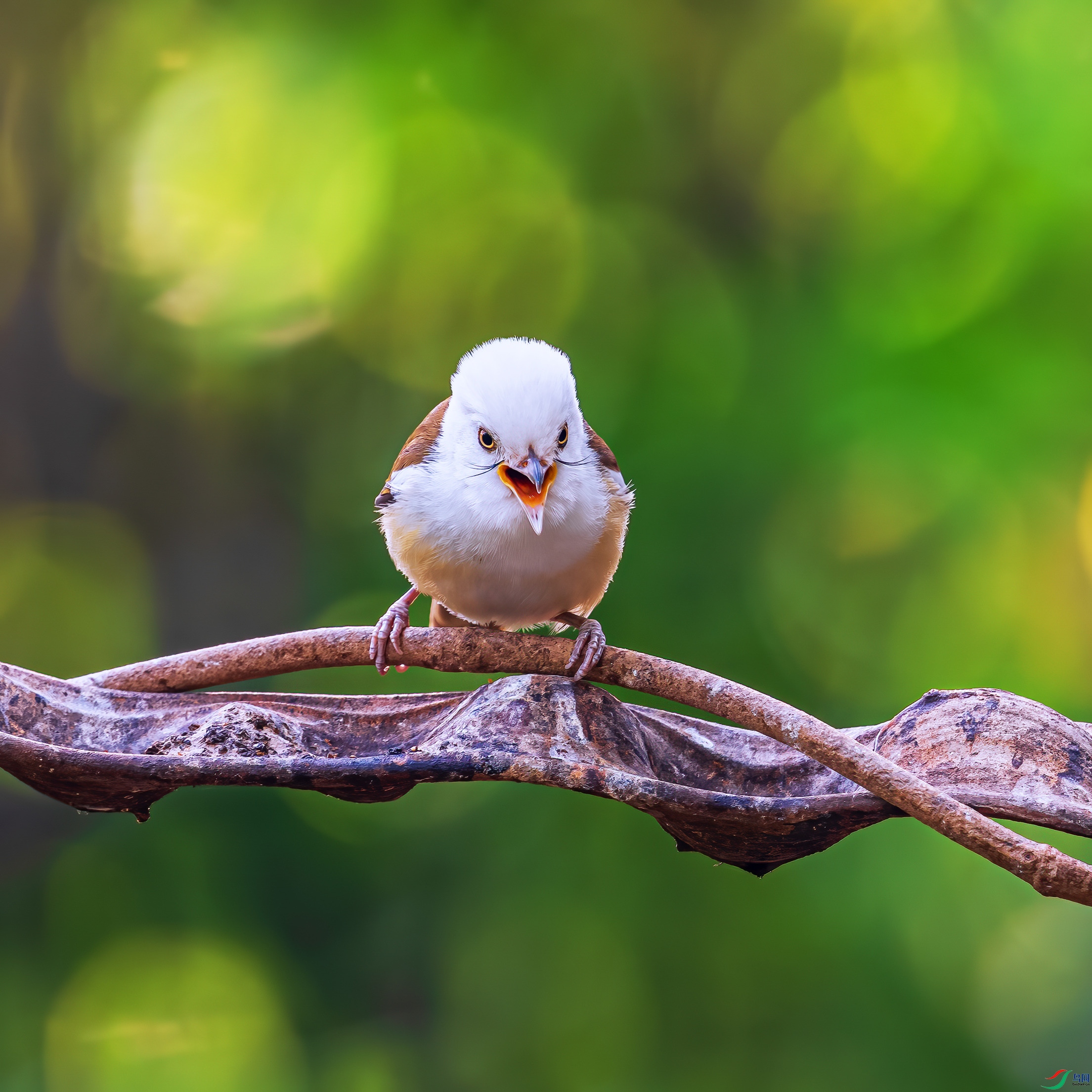 DSC09774a_����.jpg