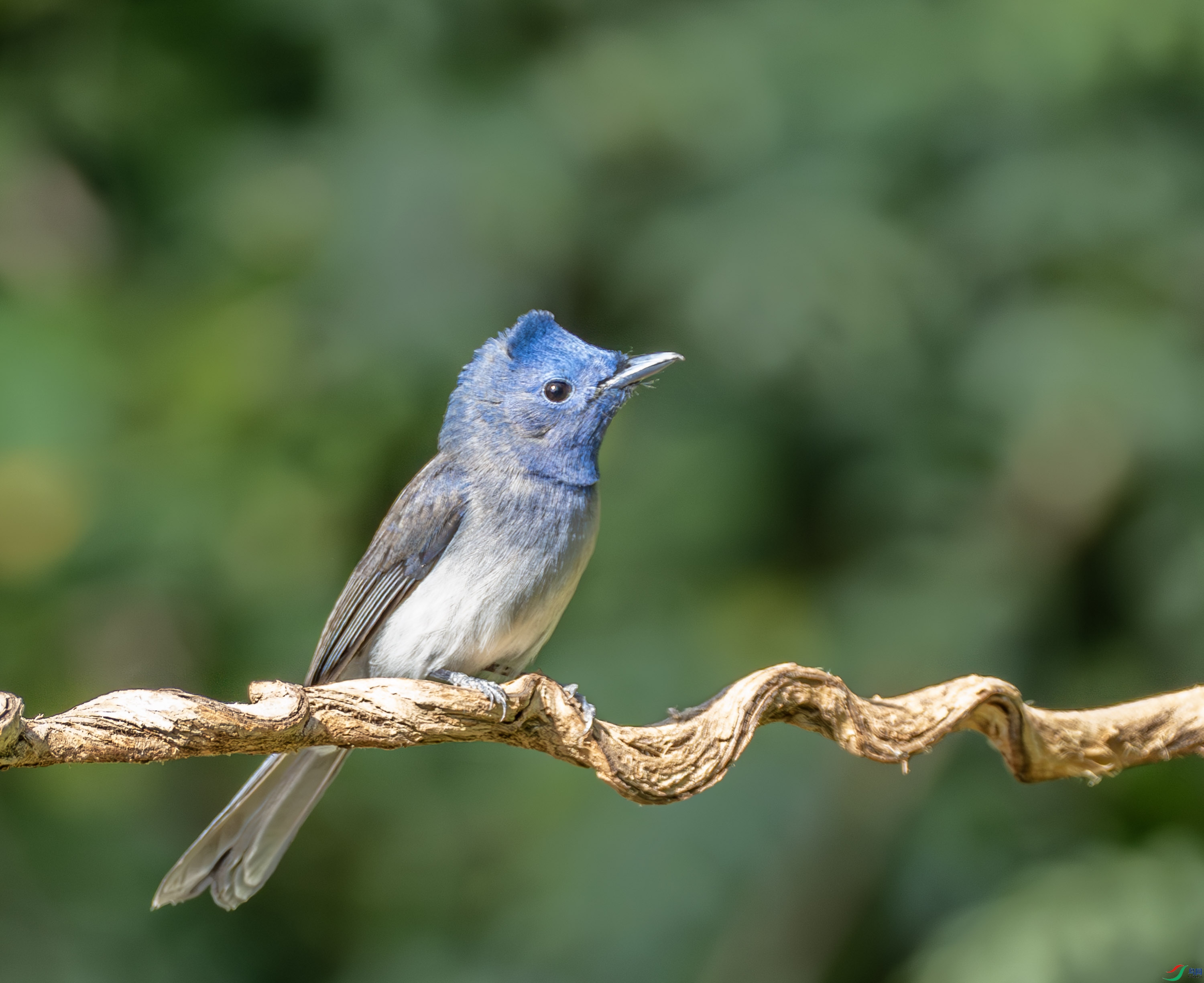 �������l-02-4-2.jpg