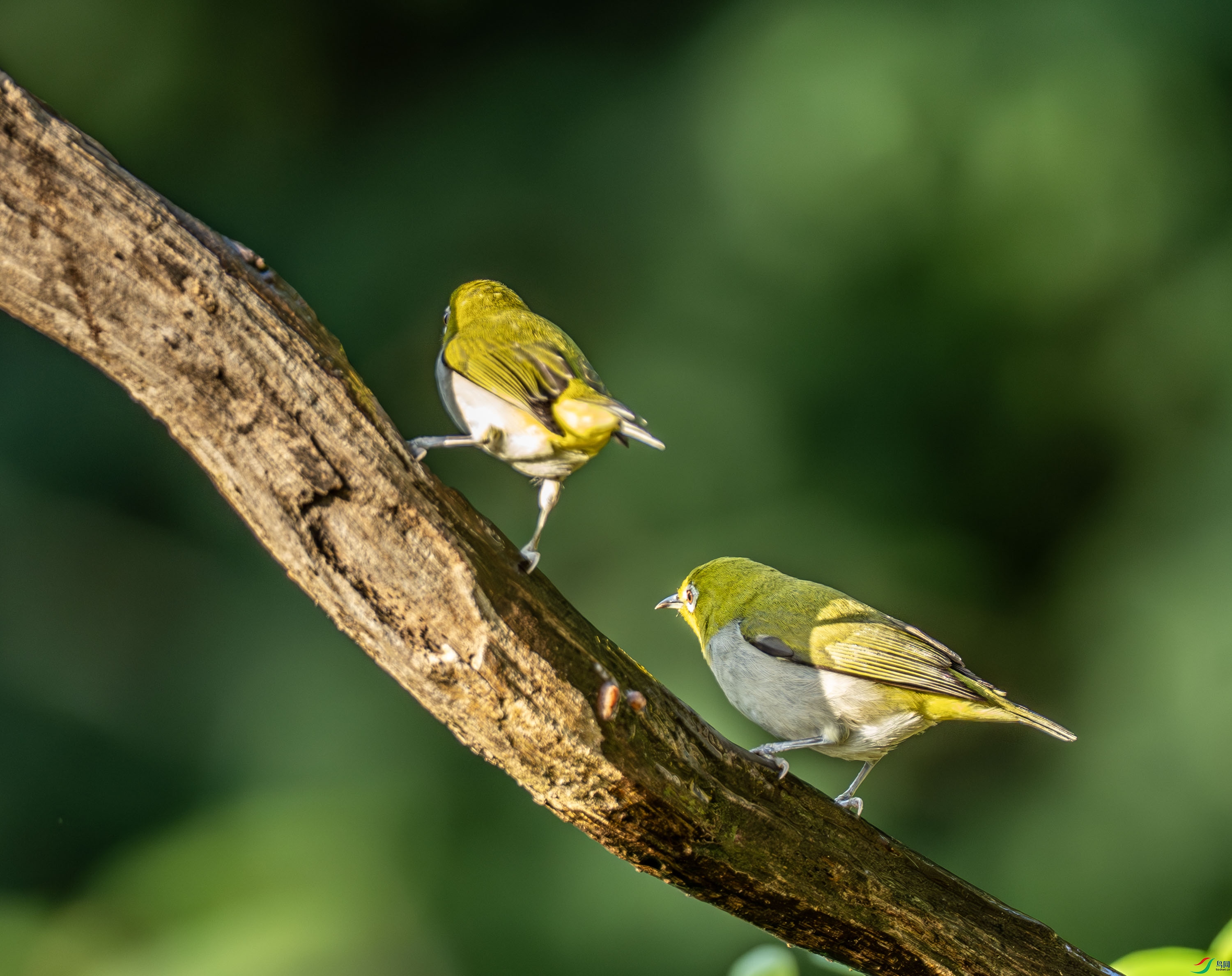 �Ҹ�������-01-19.jpg