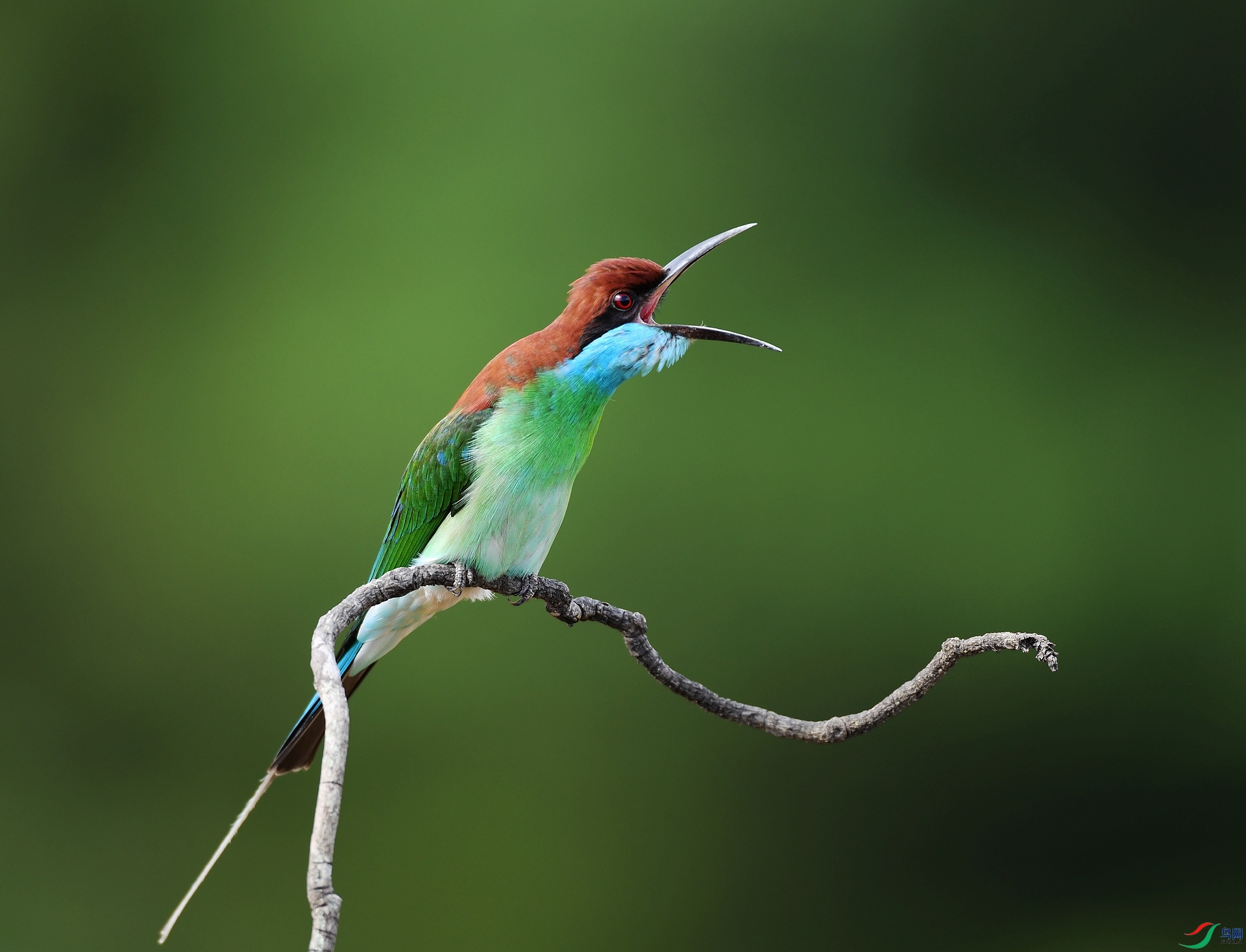 DSC_1455.jpg