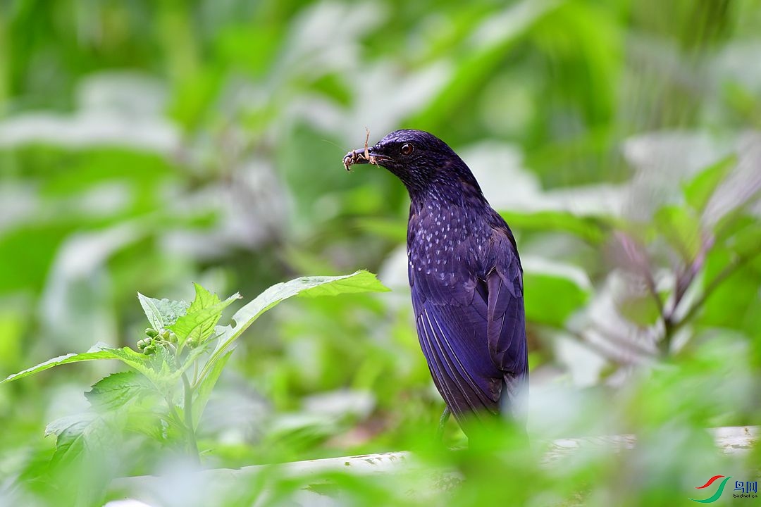 DSC_8376.JPG